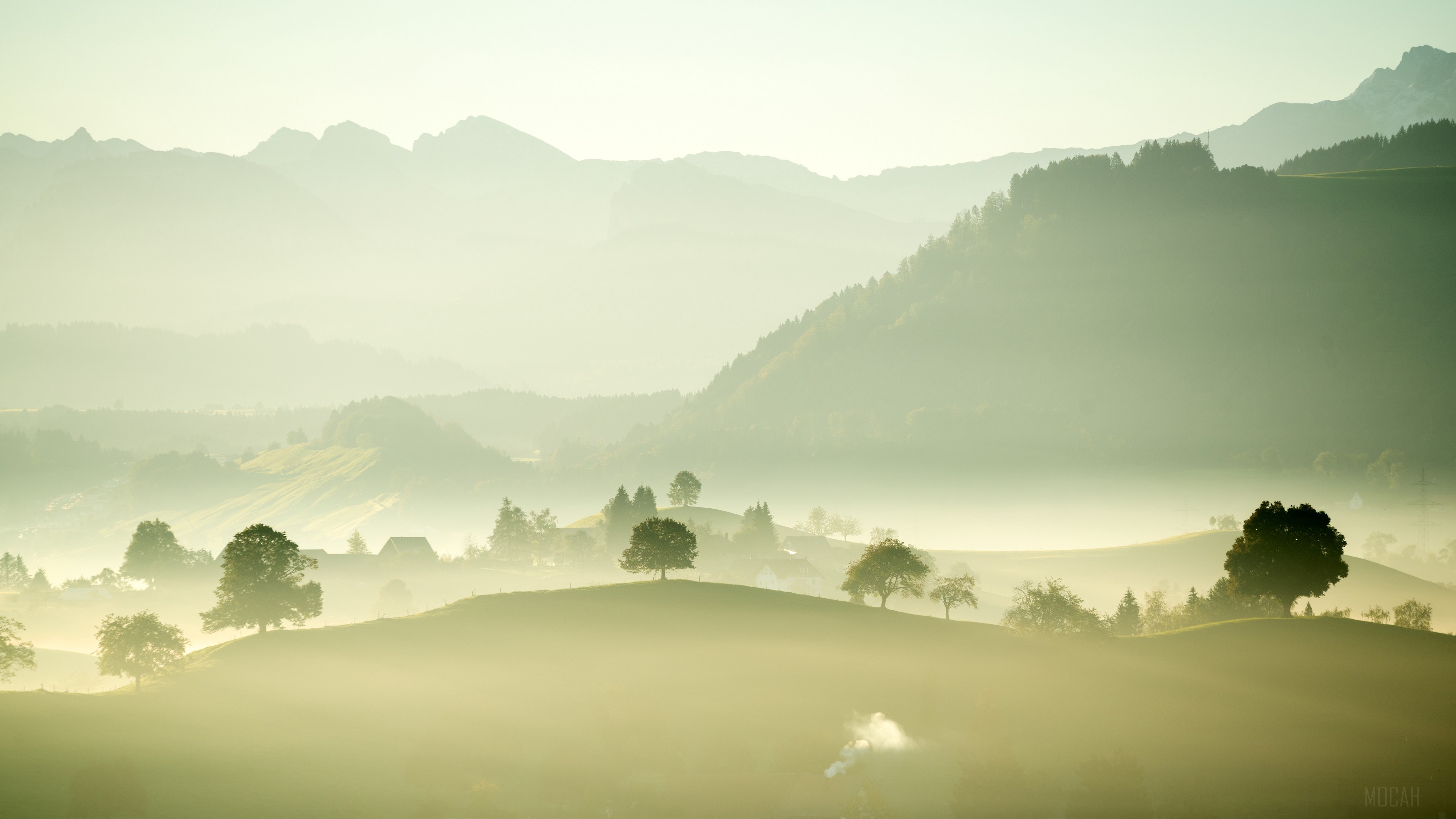 Misty valley with trees and mountains 4K HD Wallpaper