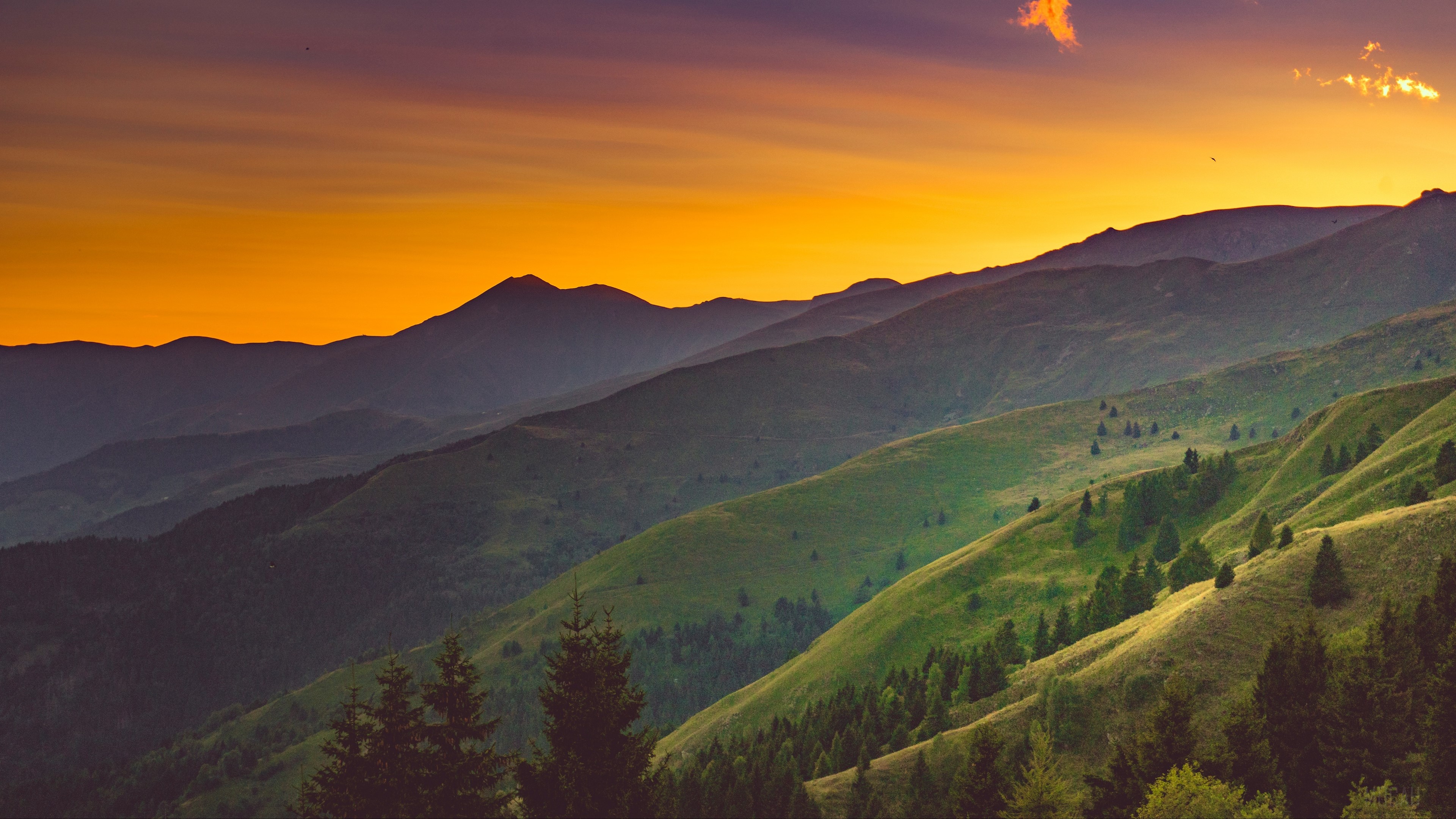 Mountain range during sunset with trees and grass HD Wallpaper