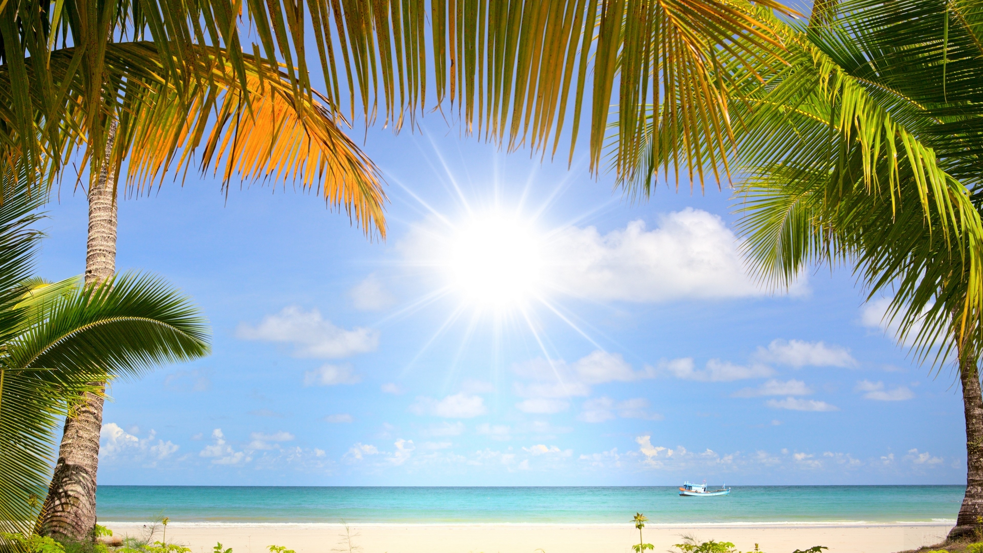 Tropical beach with palm trees and a boat HD Wallpaper