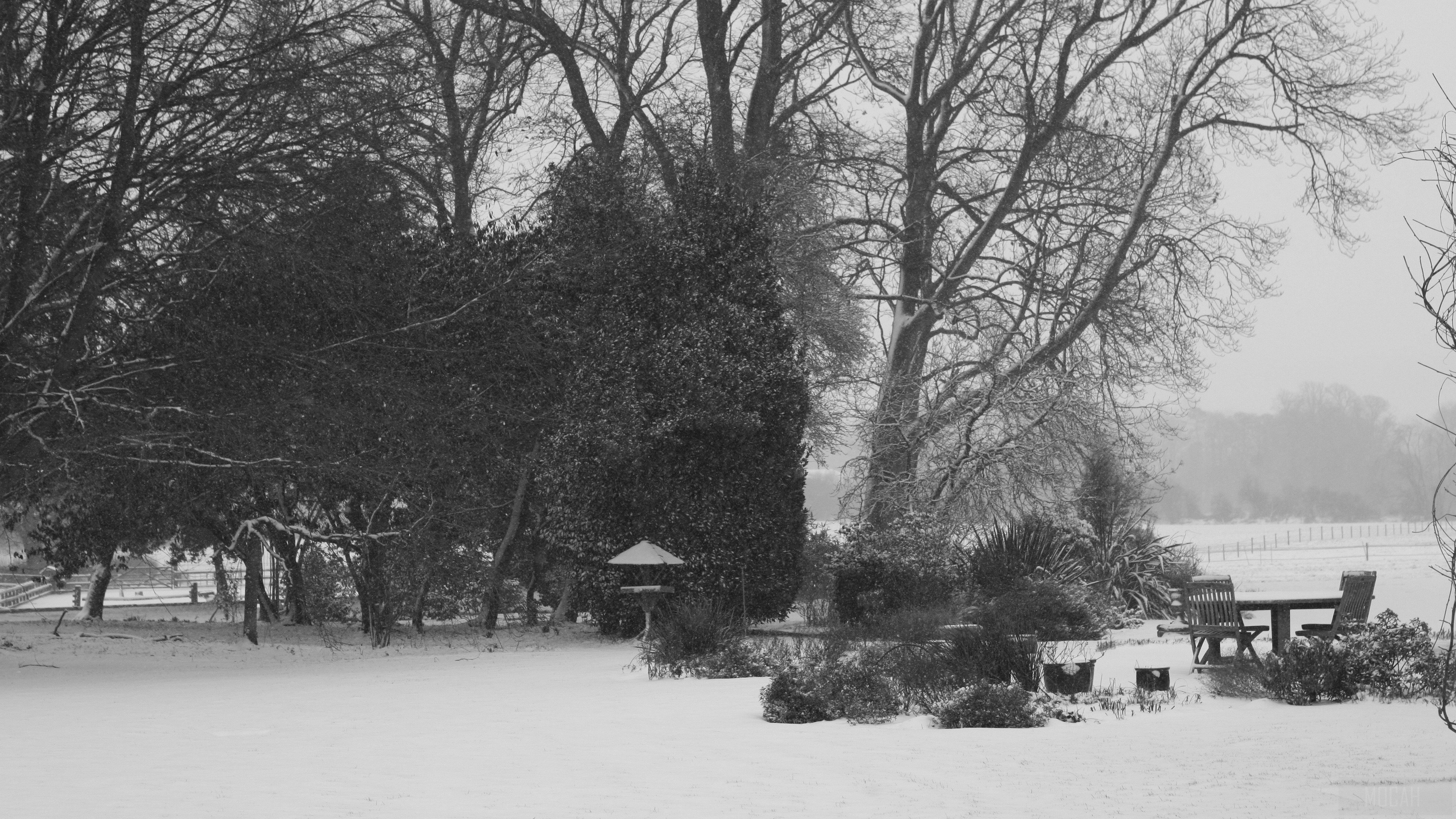 Winter park with trees and outdoor table 4K HD Wallpaper