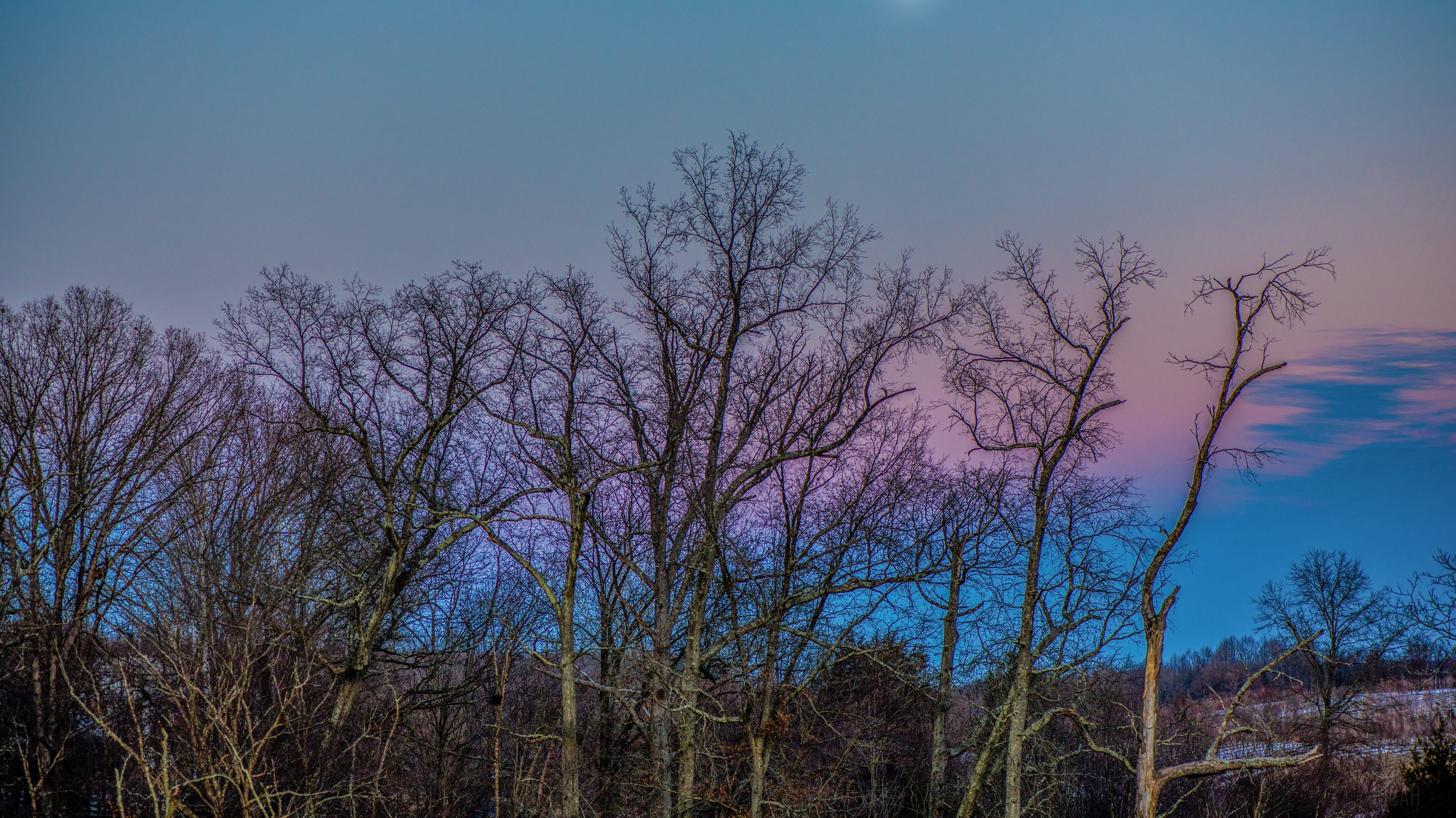 Bare trees against a colorful twilight sky HD Wallpaper
