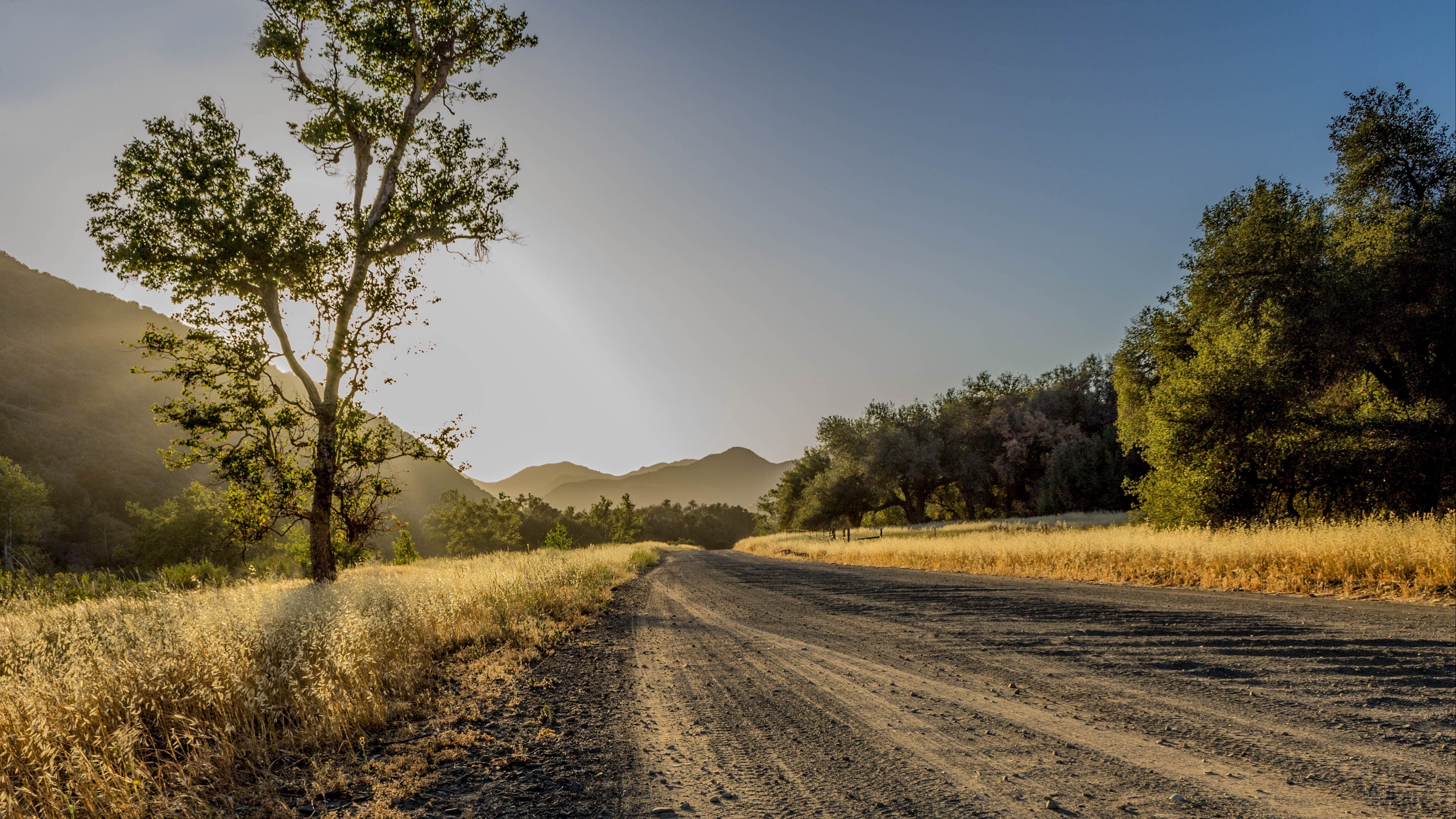 Sunlit Mountain Road with Trees in 4K HD Wallpaper