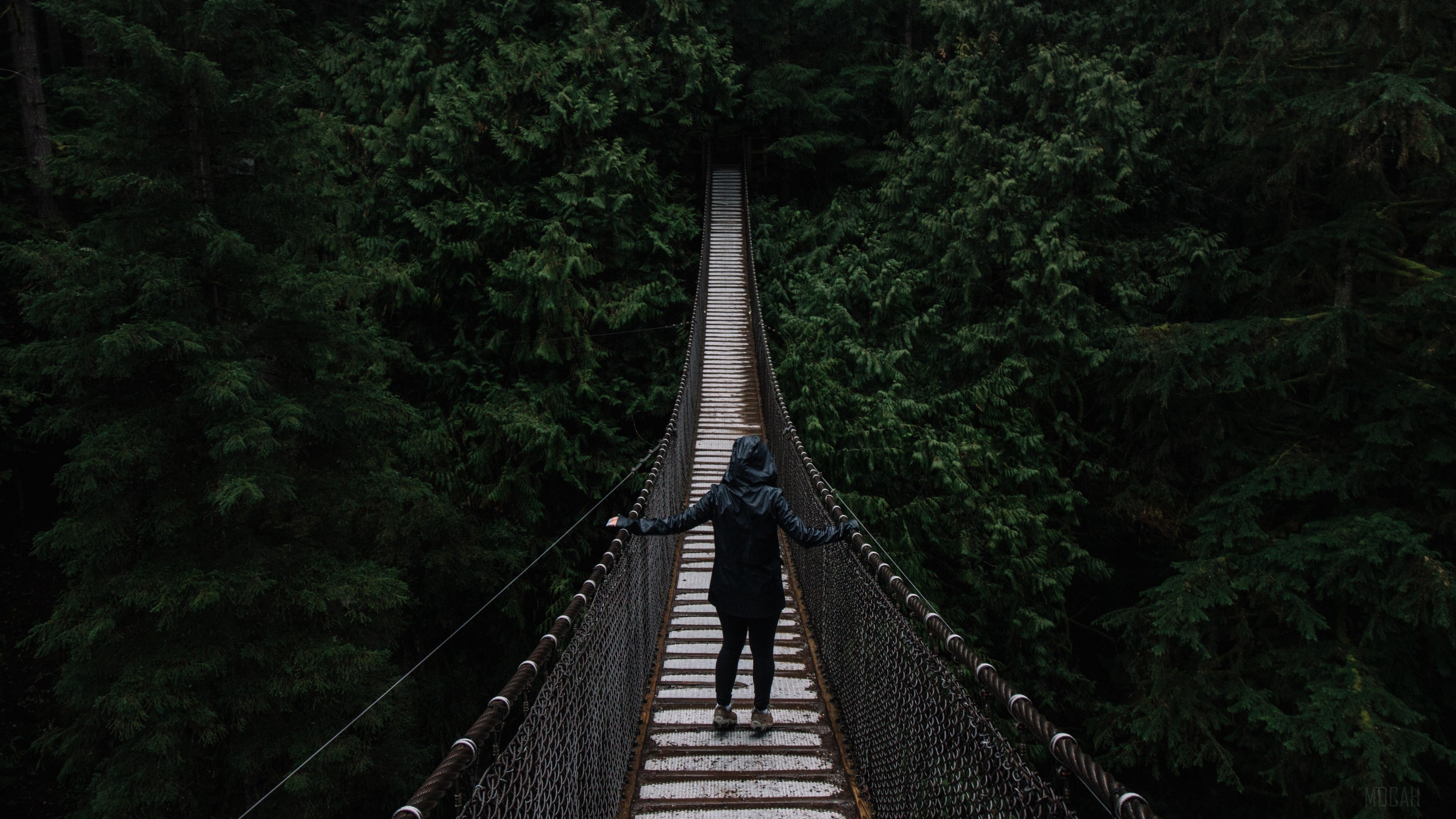 Person on suspension bridge in forest 4K HD Wallpaper