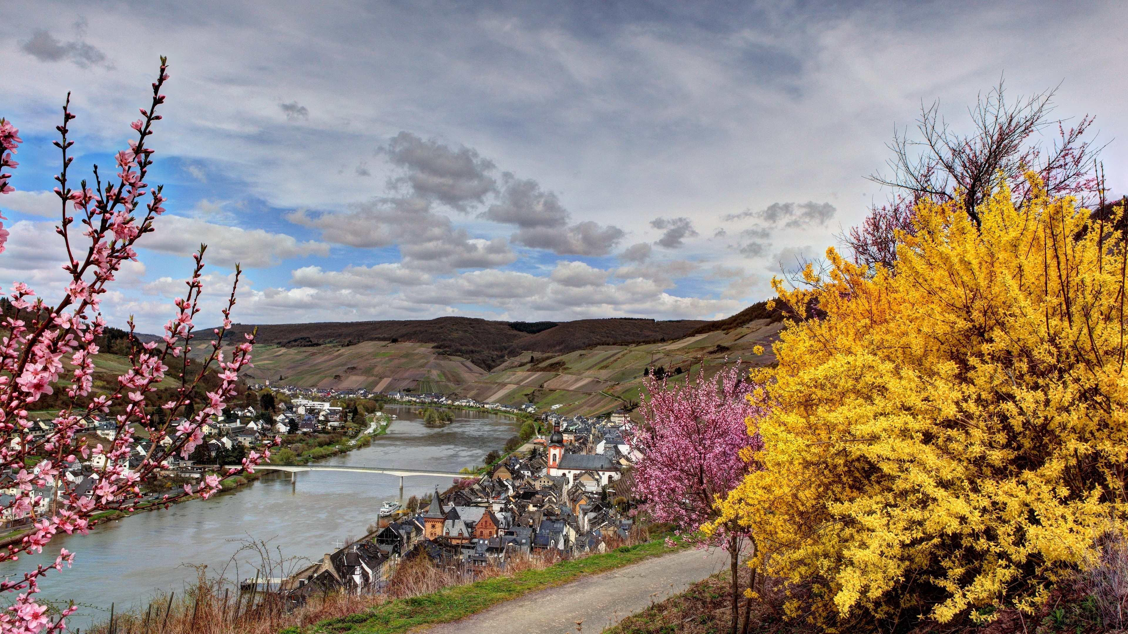 Germany river valley with blooming trees HD Wallpaper