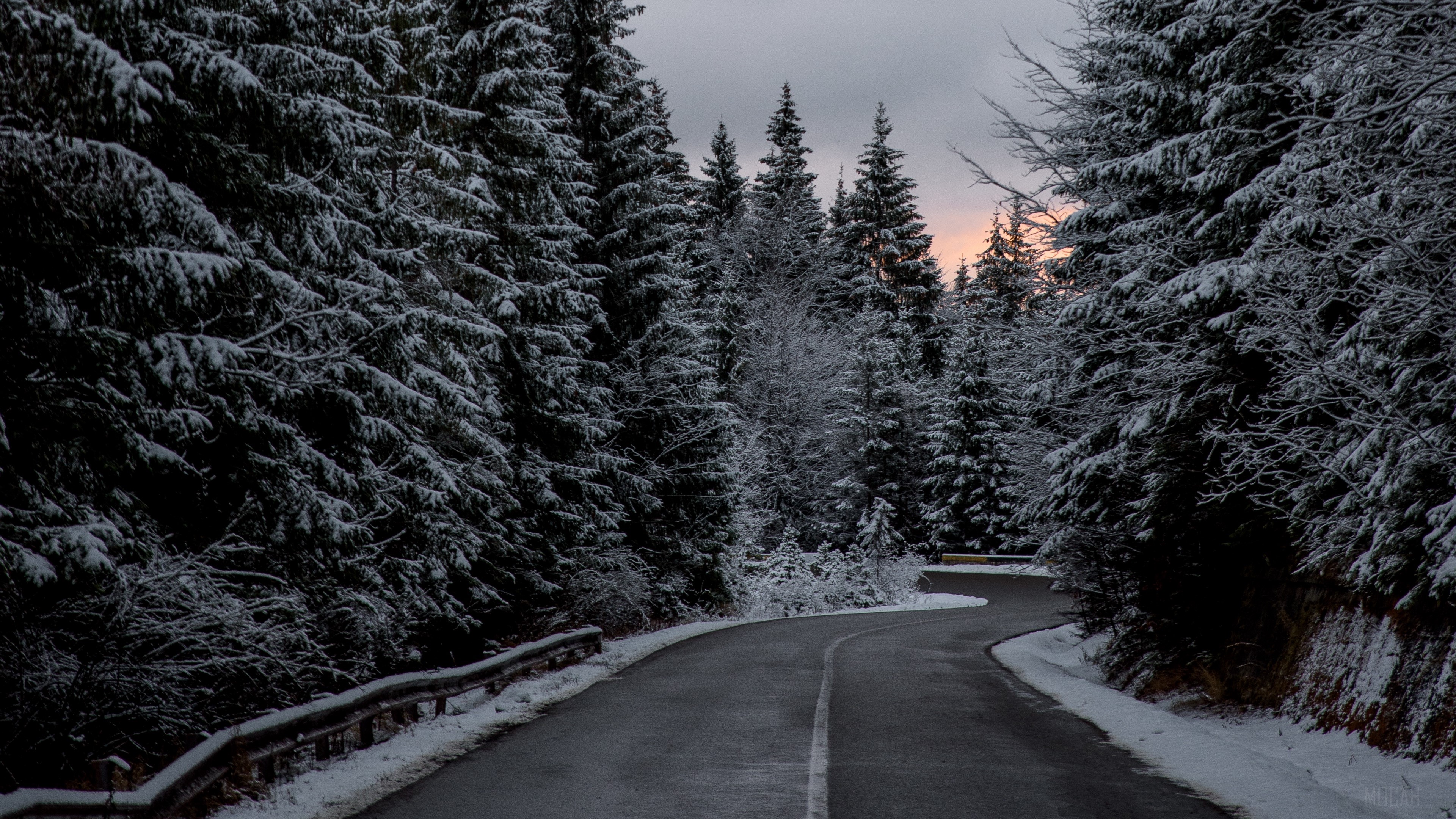 Winding road through snow-covered pine forest in winter HD Wallpaper