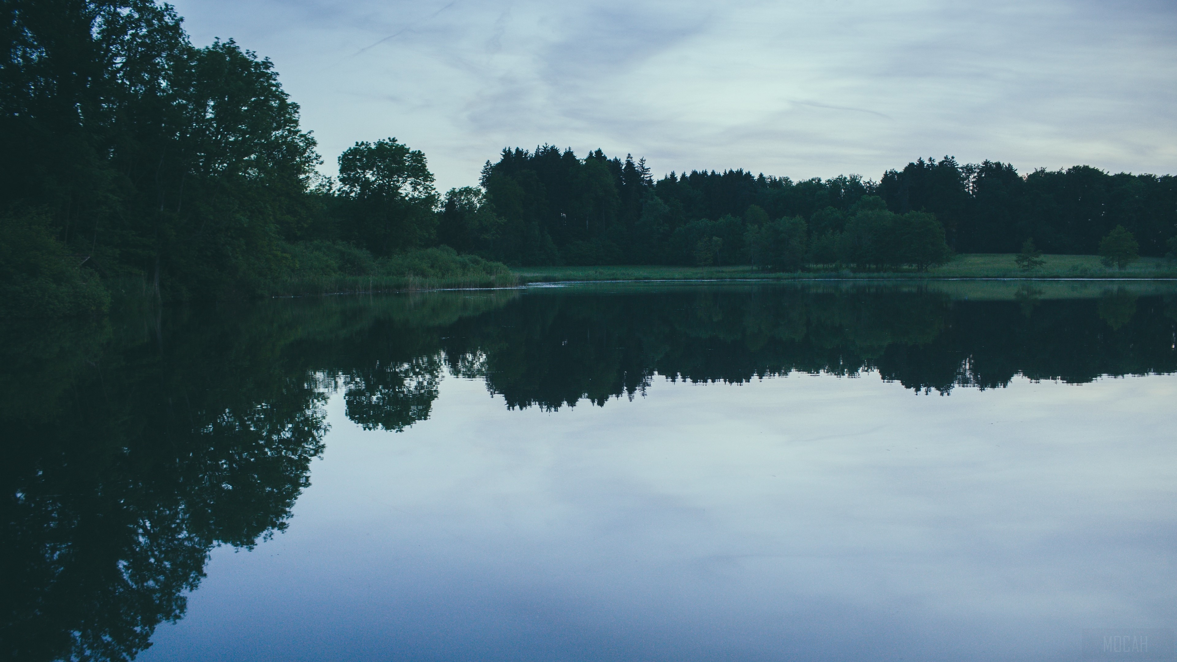 Trees reflected in a lake at dusk HD Wallpaper
