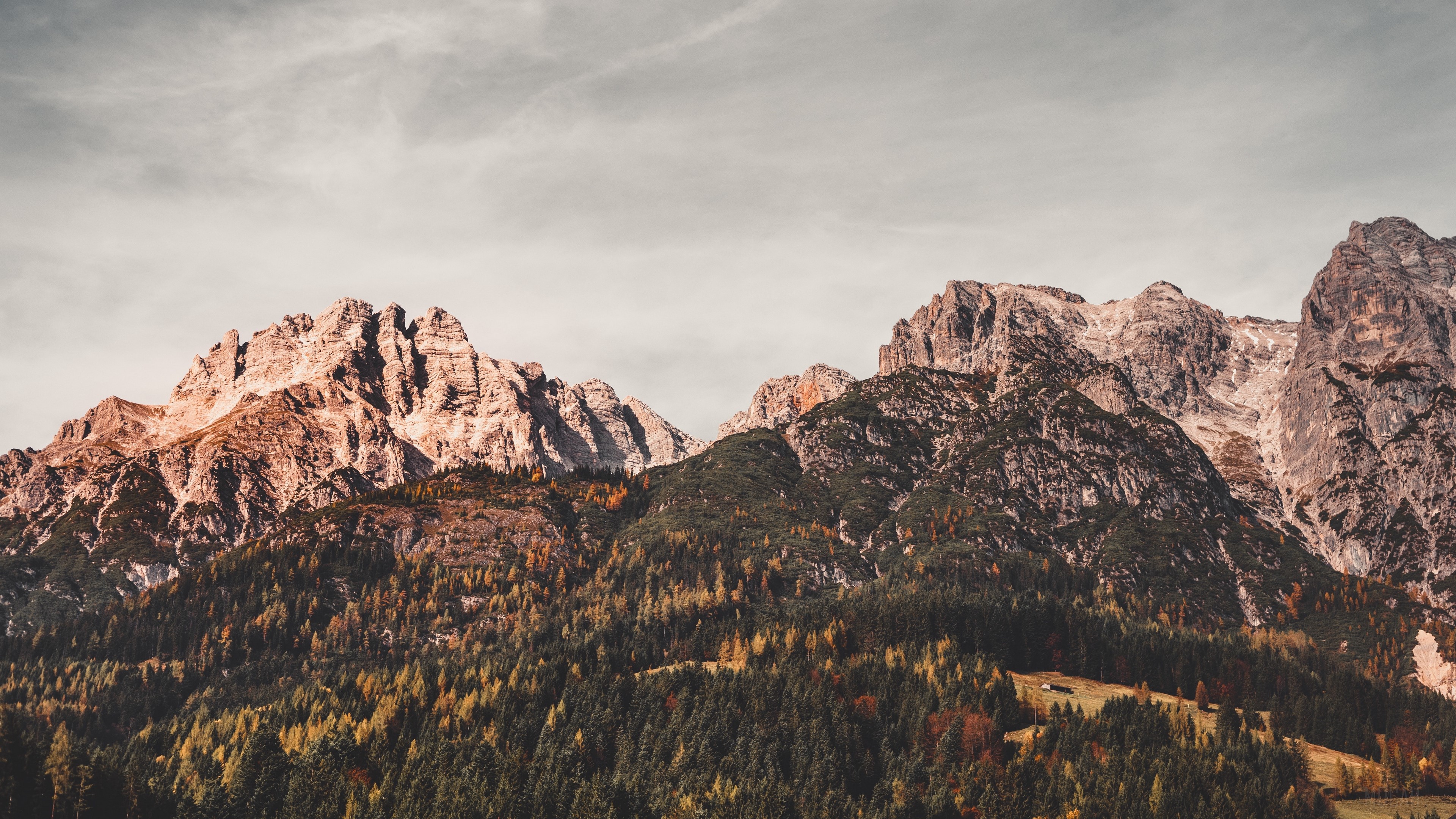 Leogang Austria Mountains with Trees 4K HD Wallpaper