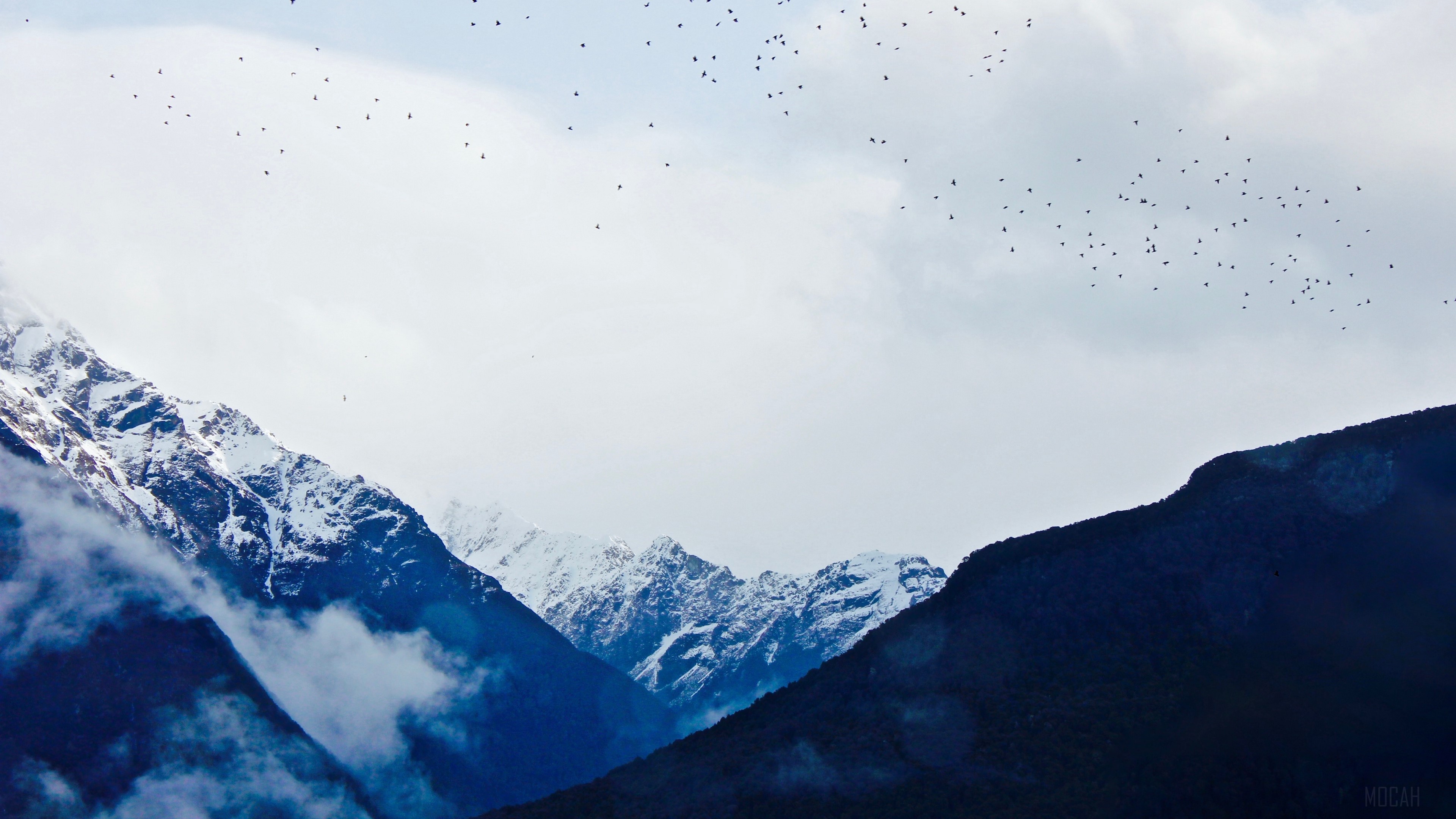 Mountains and birds in the sky 4K HD Wallpaper