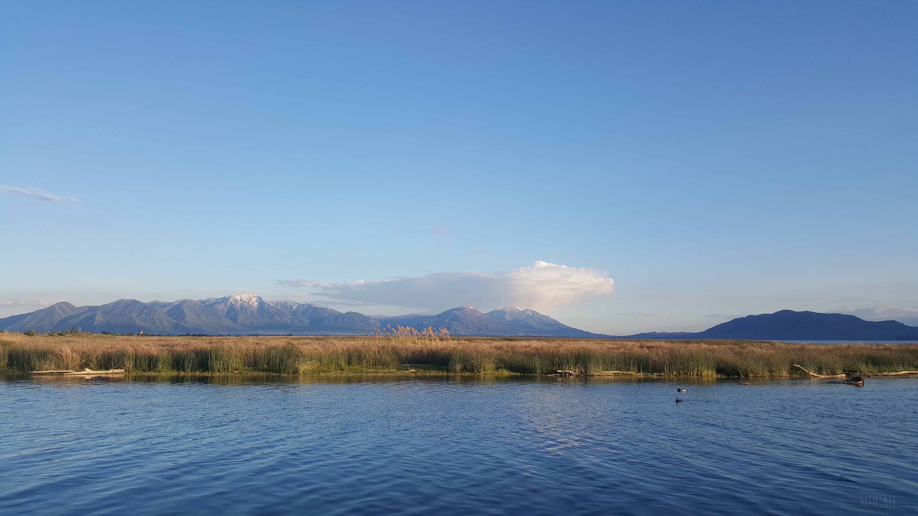 Lake with Mountains and Reeds in Utah, USA 4K HD Wallpaper