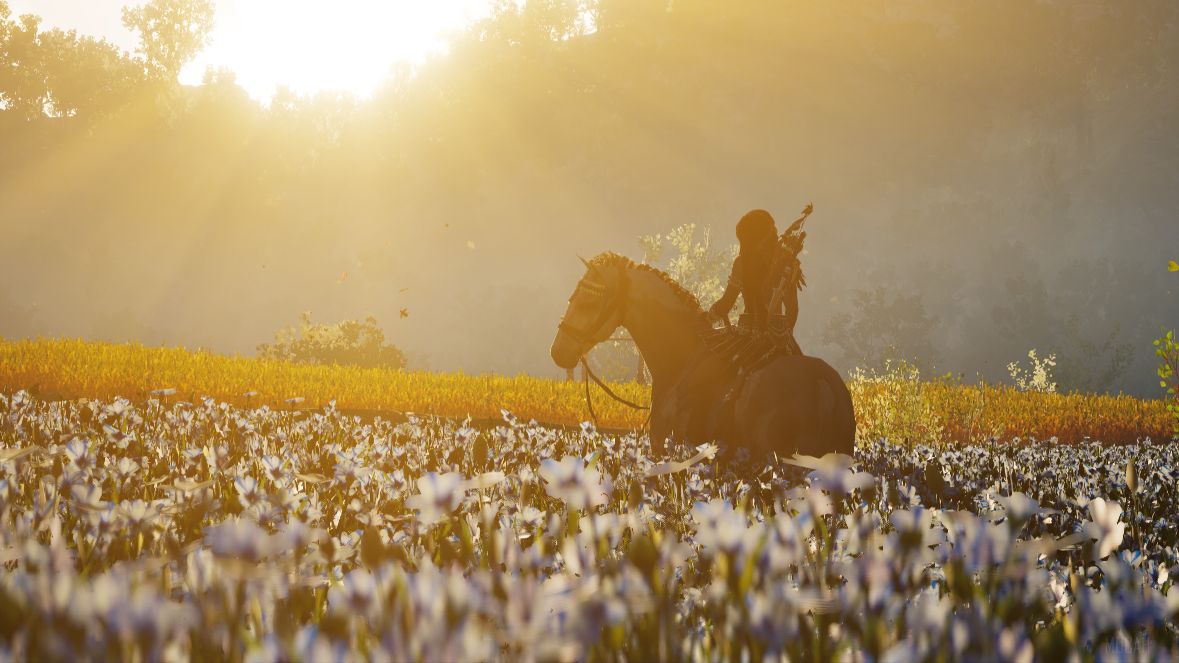 Assassin's Creed Odyssey 4K fields HD Wallpaper