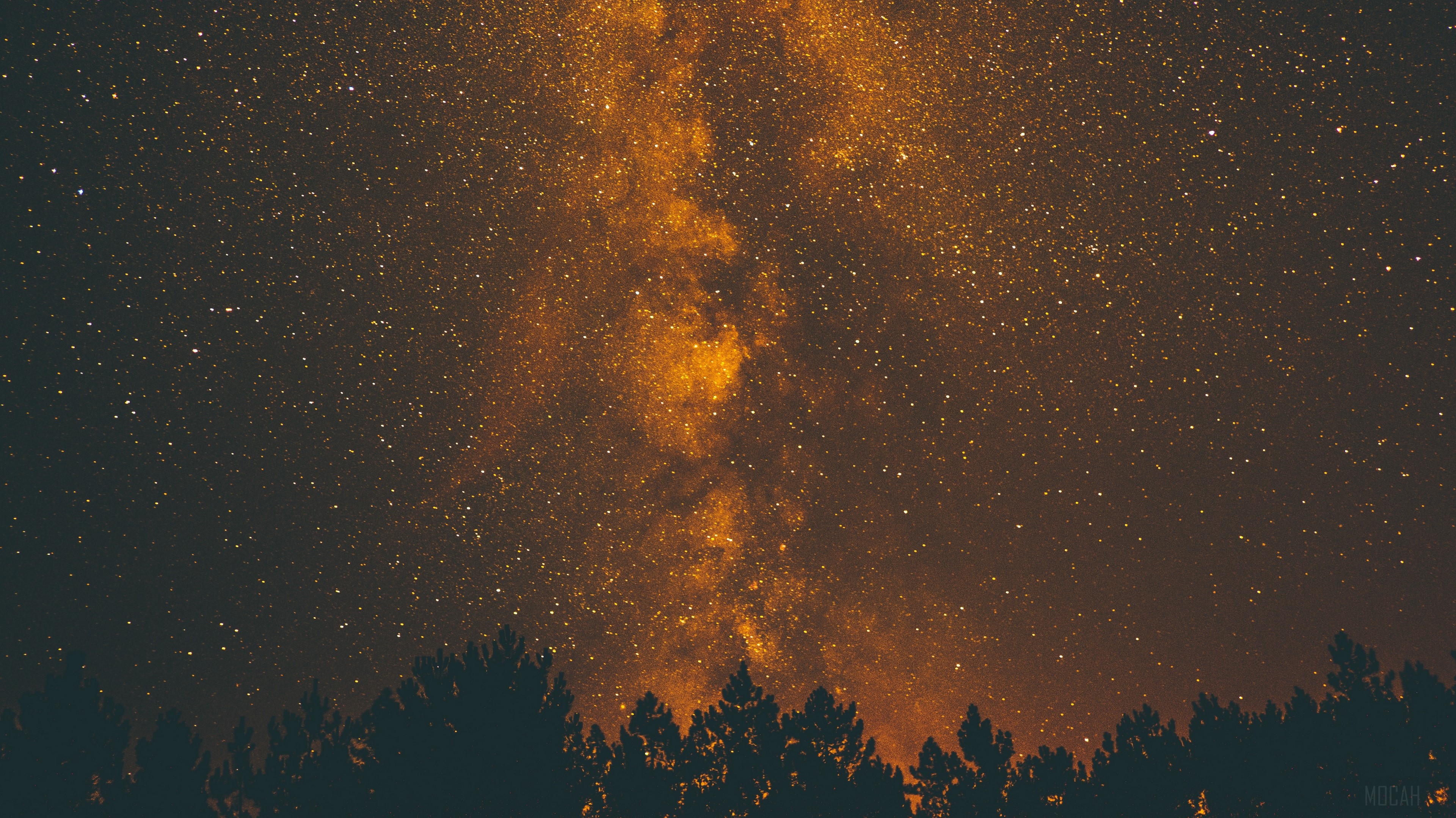 Starry night sky over trees 4K HD Wallpaper
