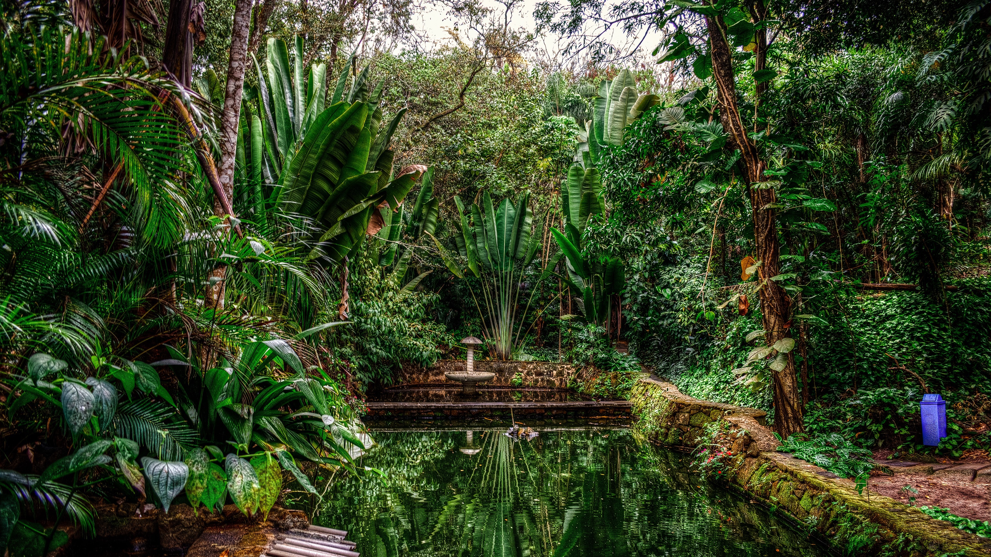 Tranquil lagoon surrounded by lush greenery in Brazil HD Wallpaper