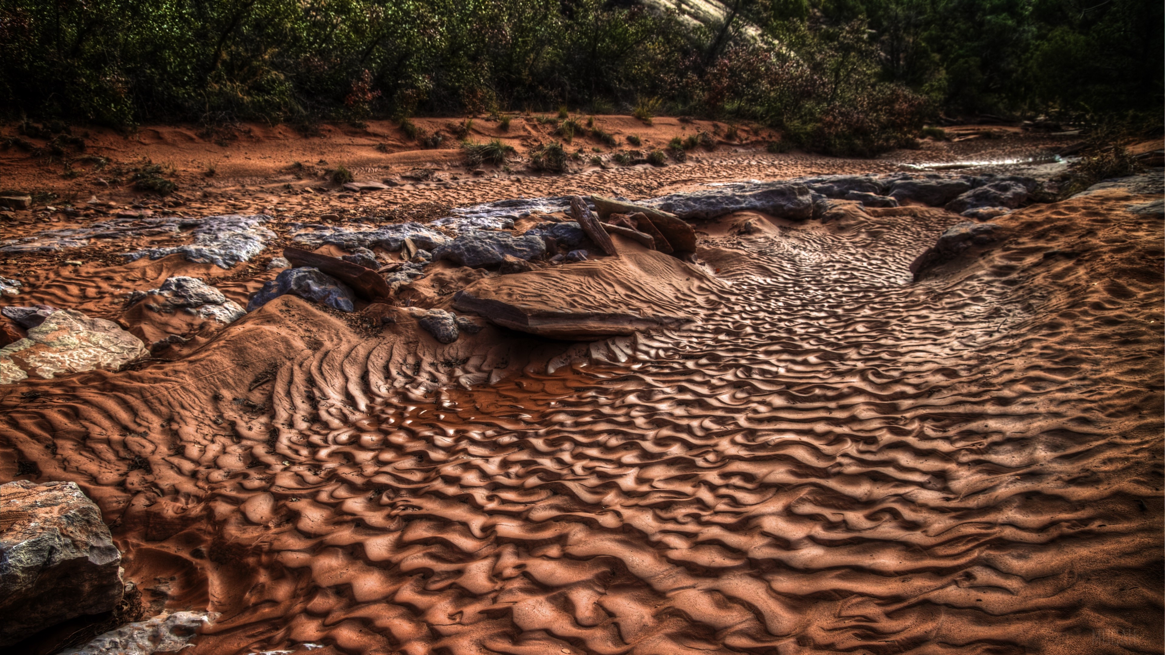 Sand ripples in a dry riverbed with rocks and vegetation HD Wallpaper