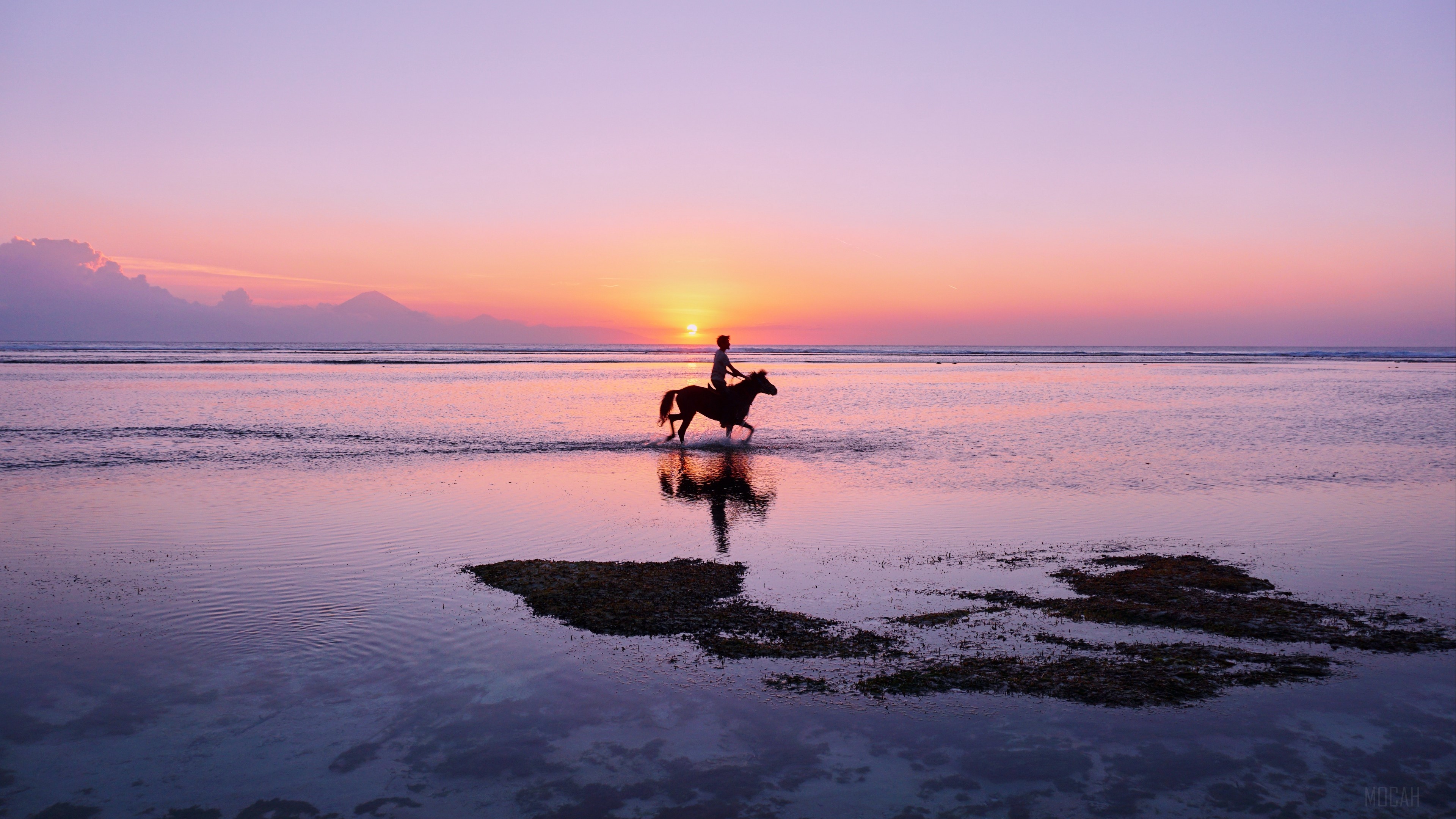 Man riding a horse on a beach at sunset, Indonesia 4K HD Wallpaper