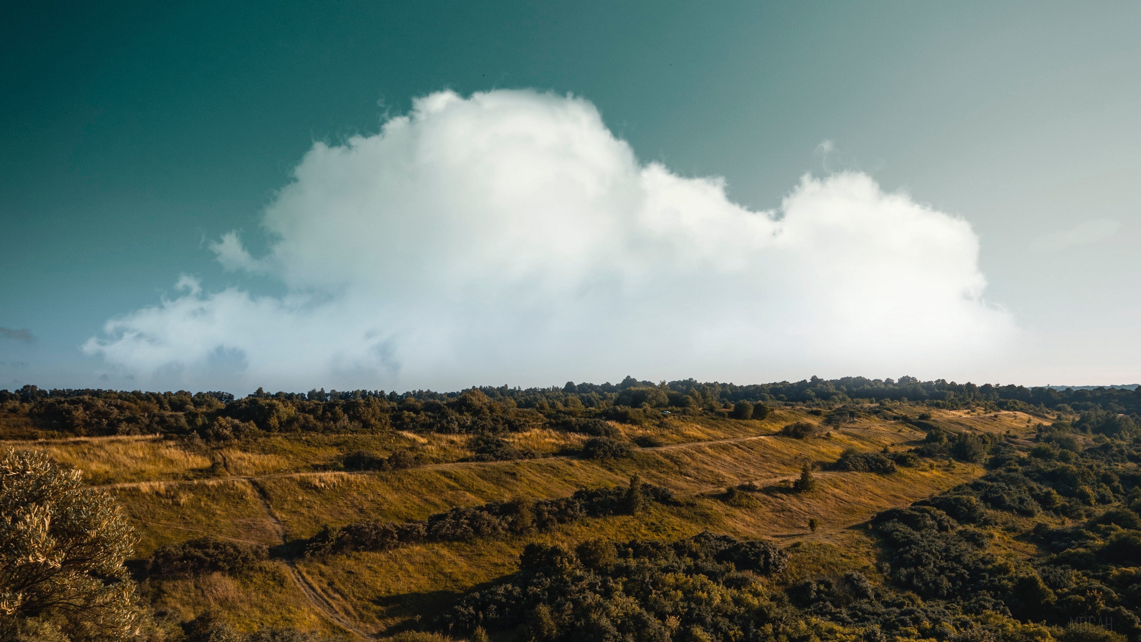 Hilly landscape with clouds and trees 4K HD Wallpaper