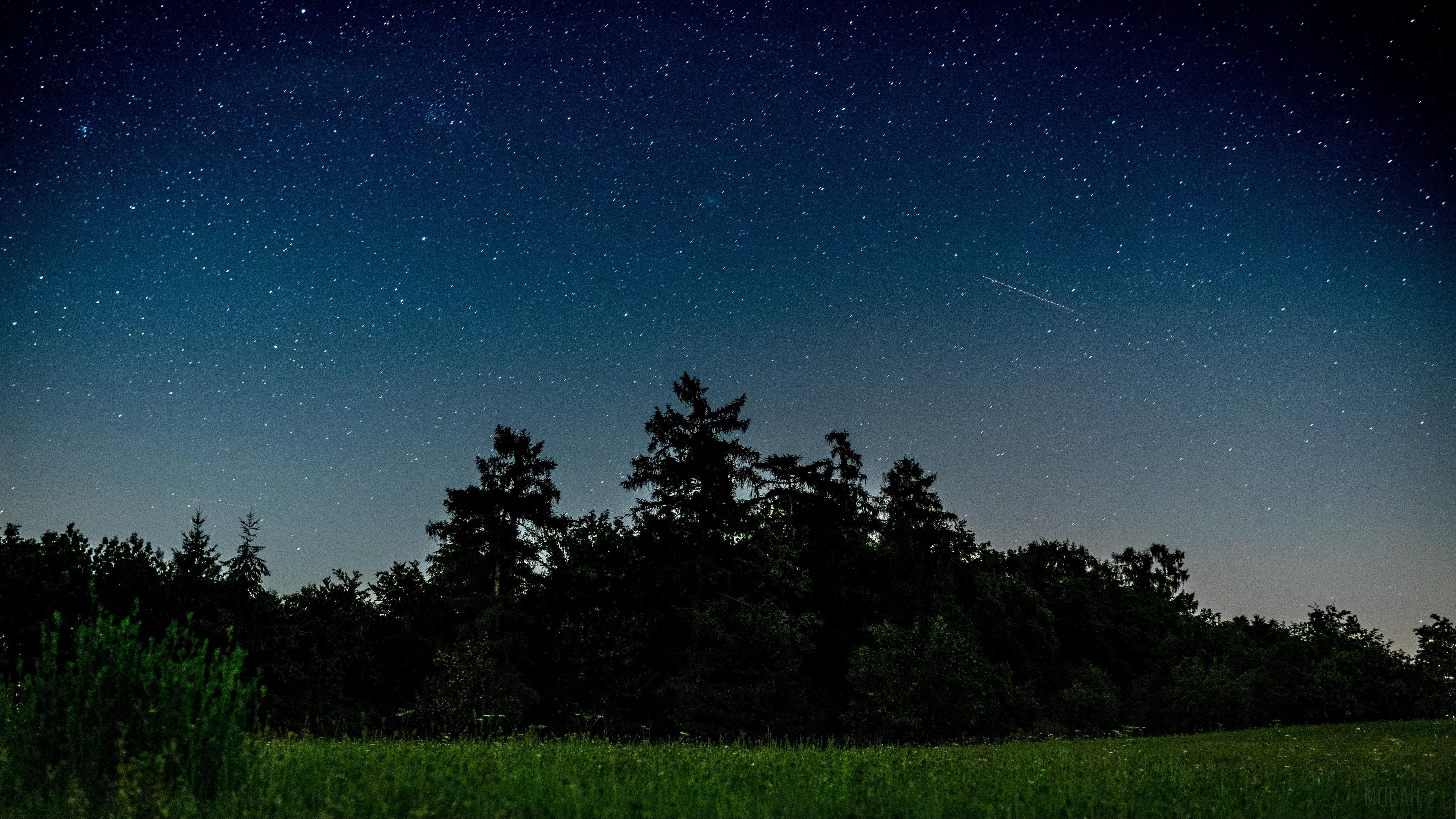 Starry night sky over a forest and field HD Wallpaper
