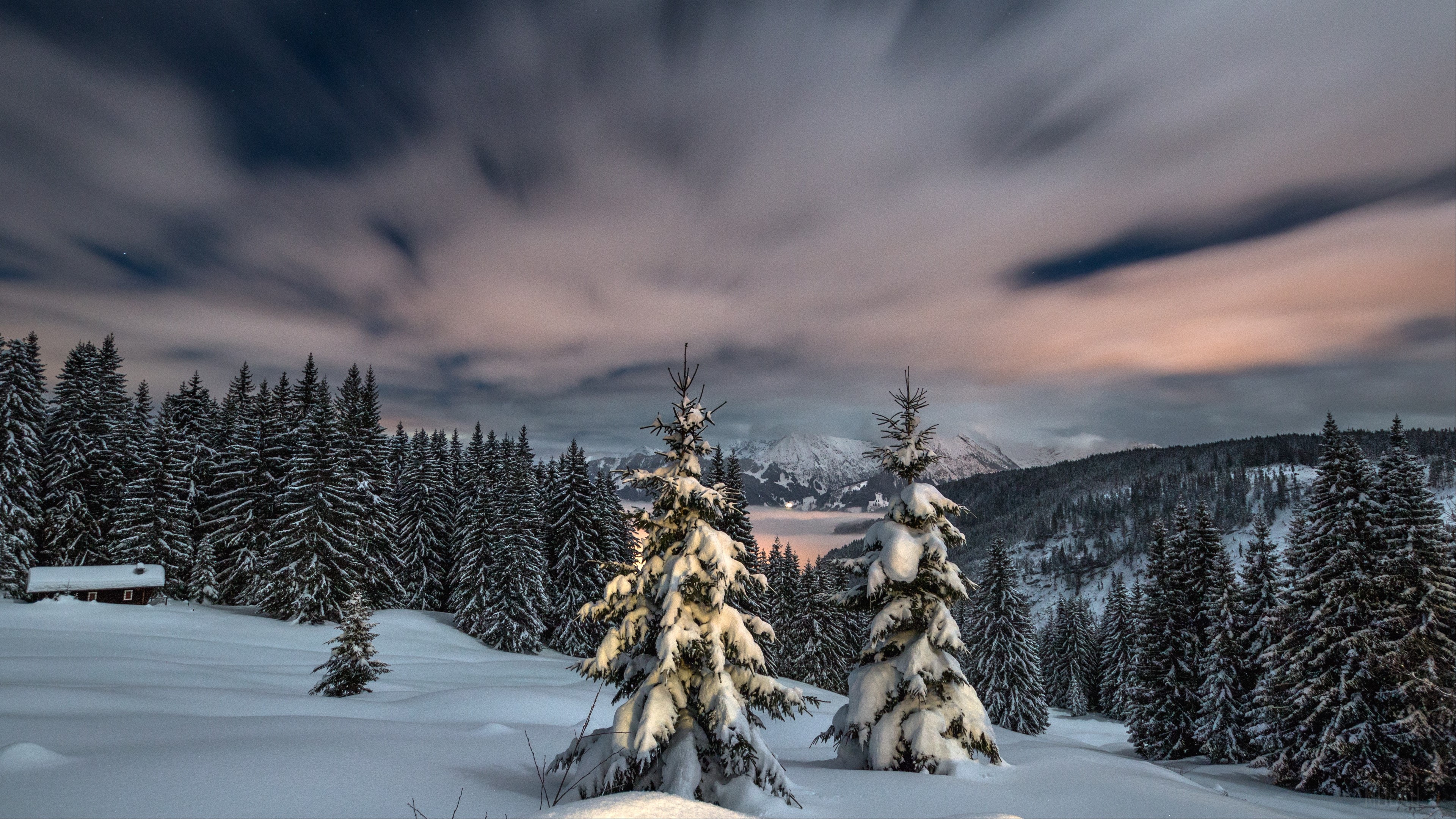 Winter sunset over snowy fir trees and mountains 4K HD Wallpaper