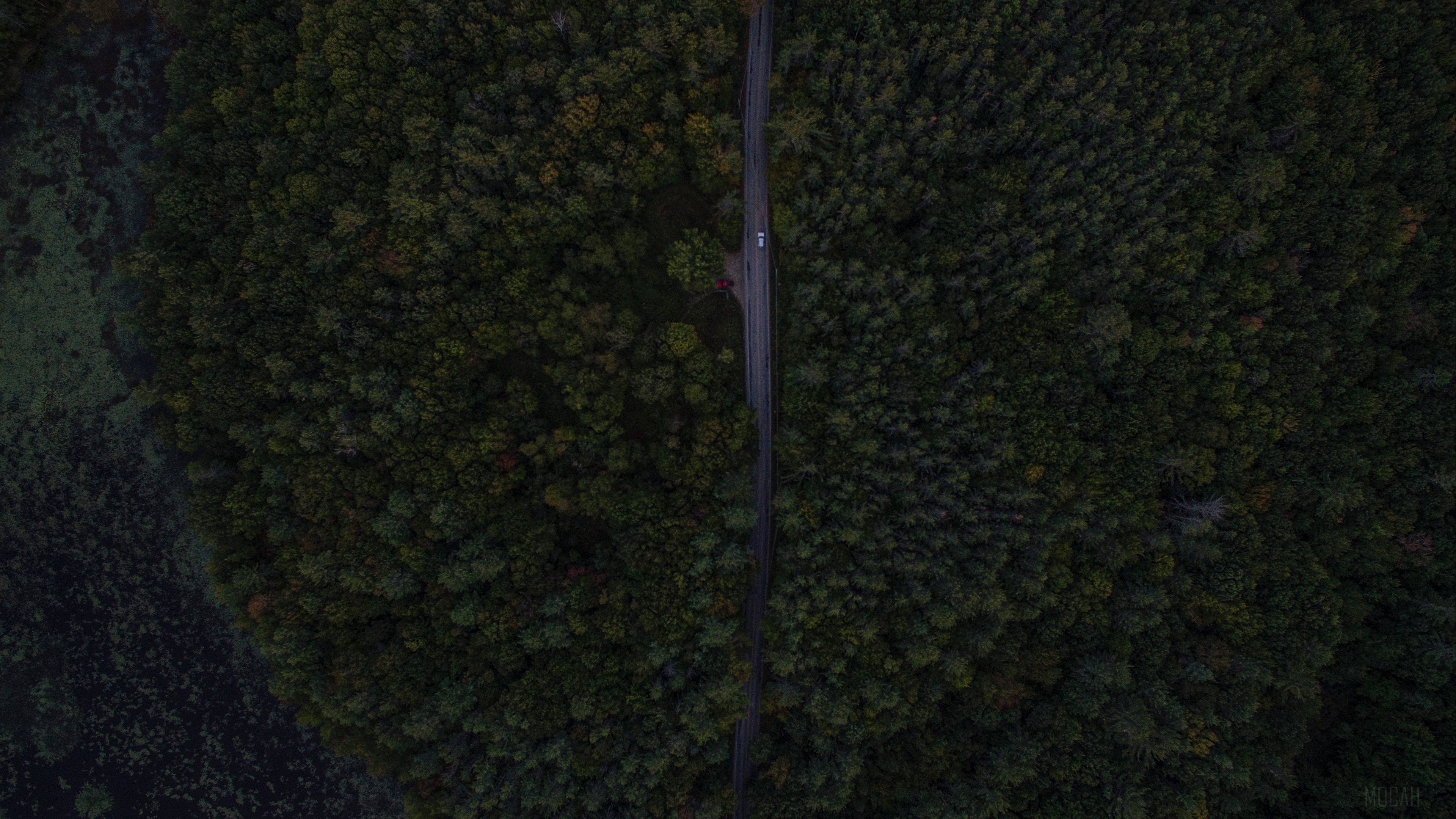 Aerial view of a road through a dark forest HD Wallpaper