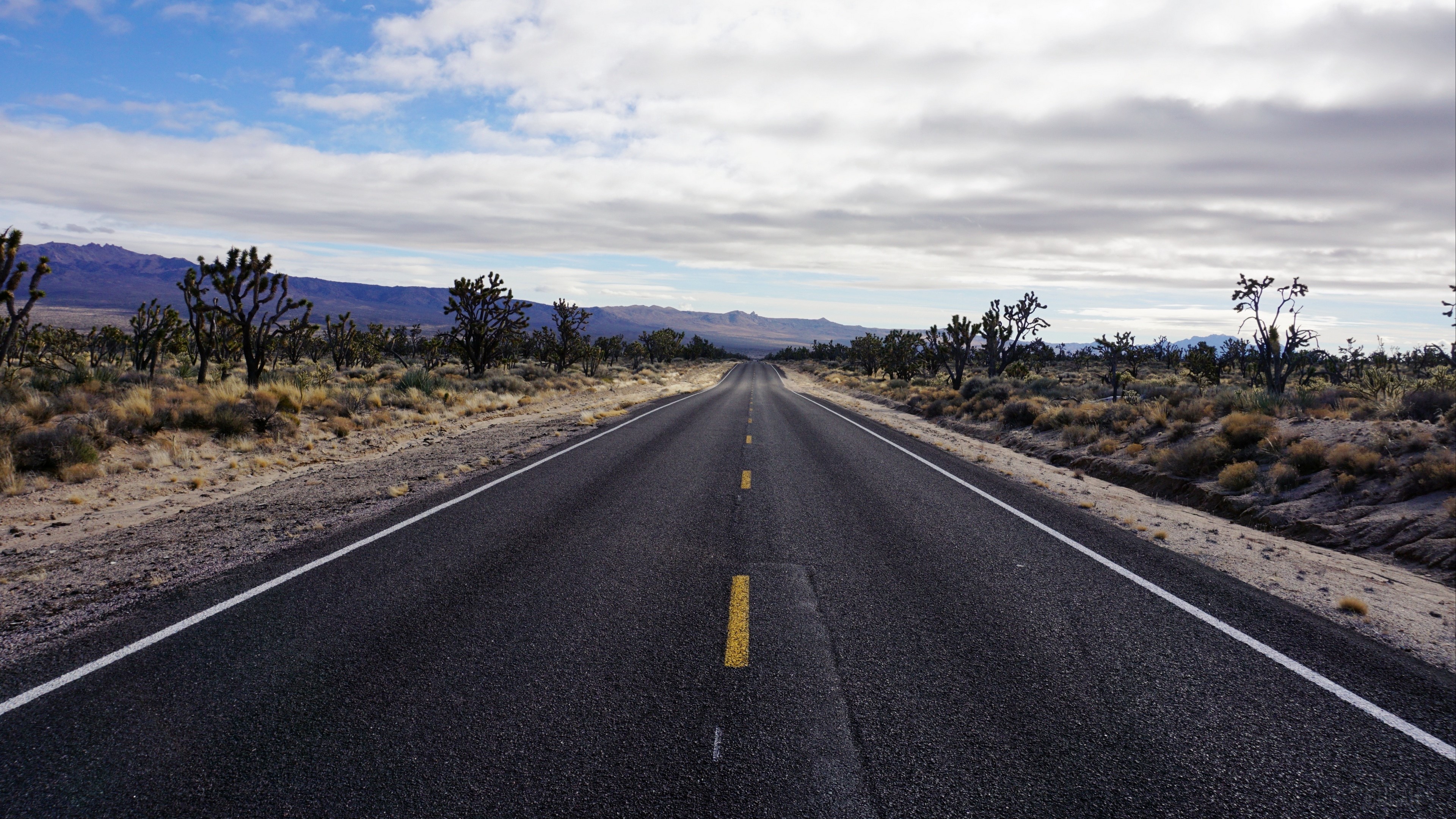 Desert Road with Joshua Trees and Mountains 4K HD Wallpaper