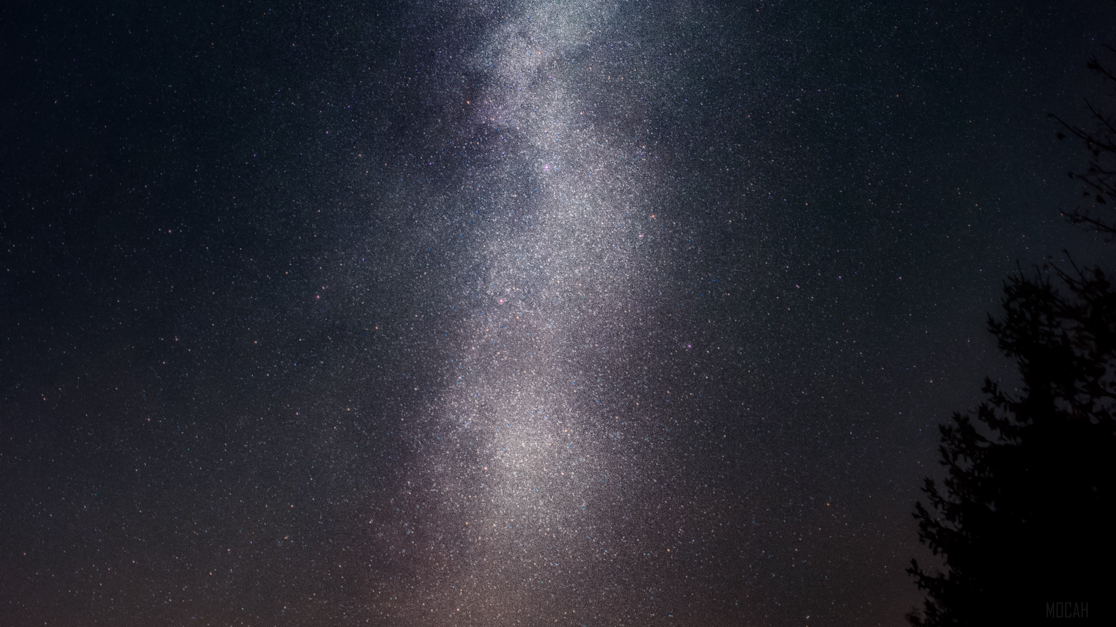 Milky Way galaxy over a dark forest HD Wallpaper