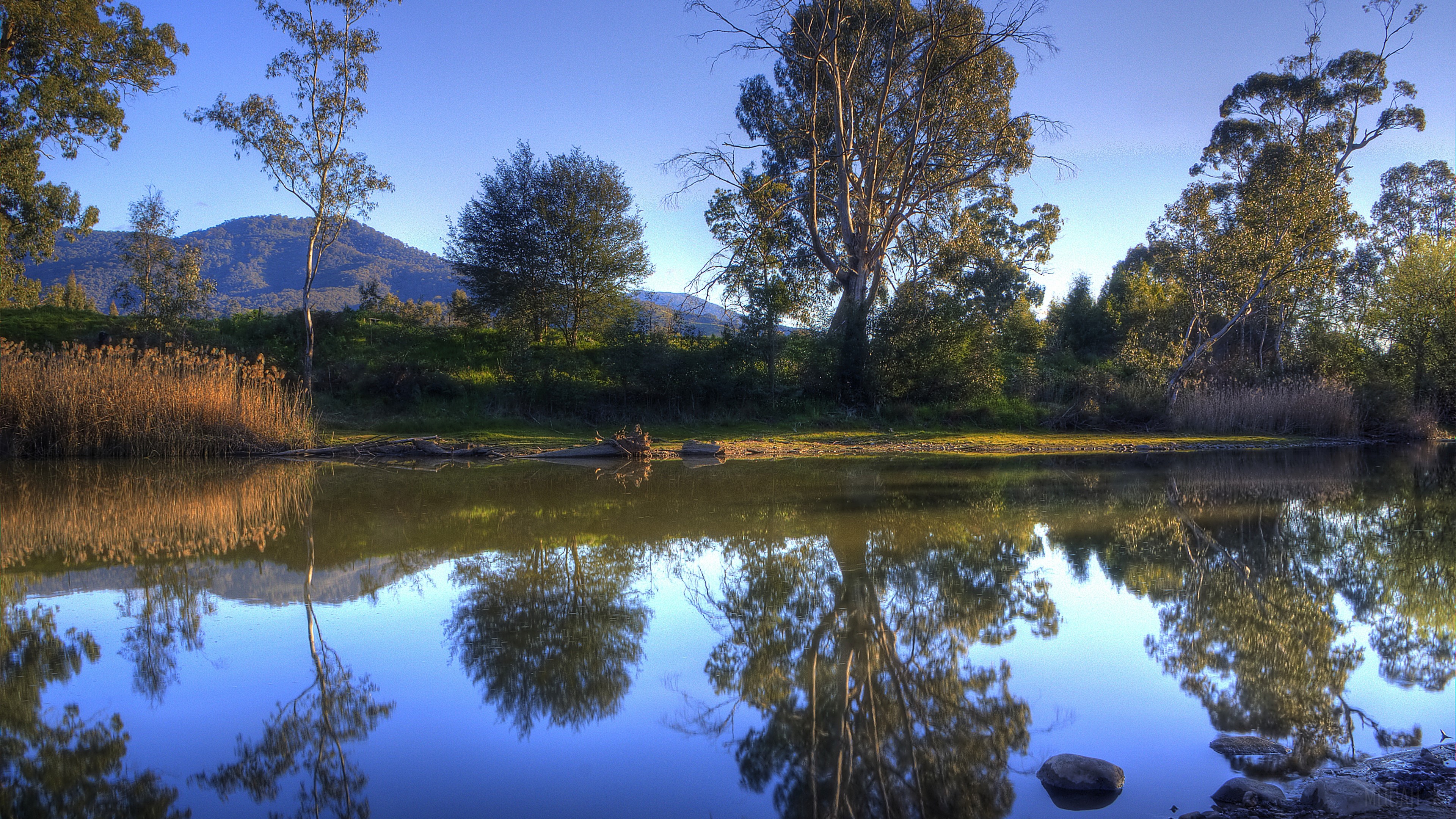 River landscape with trees and mountains 4K HD Wallpaper