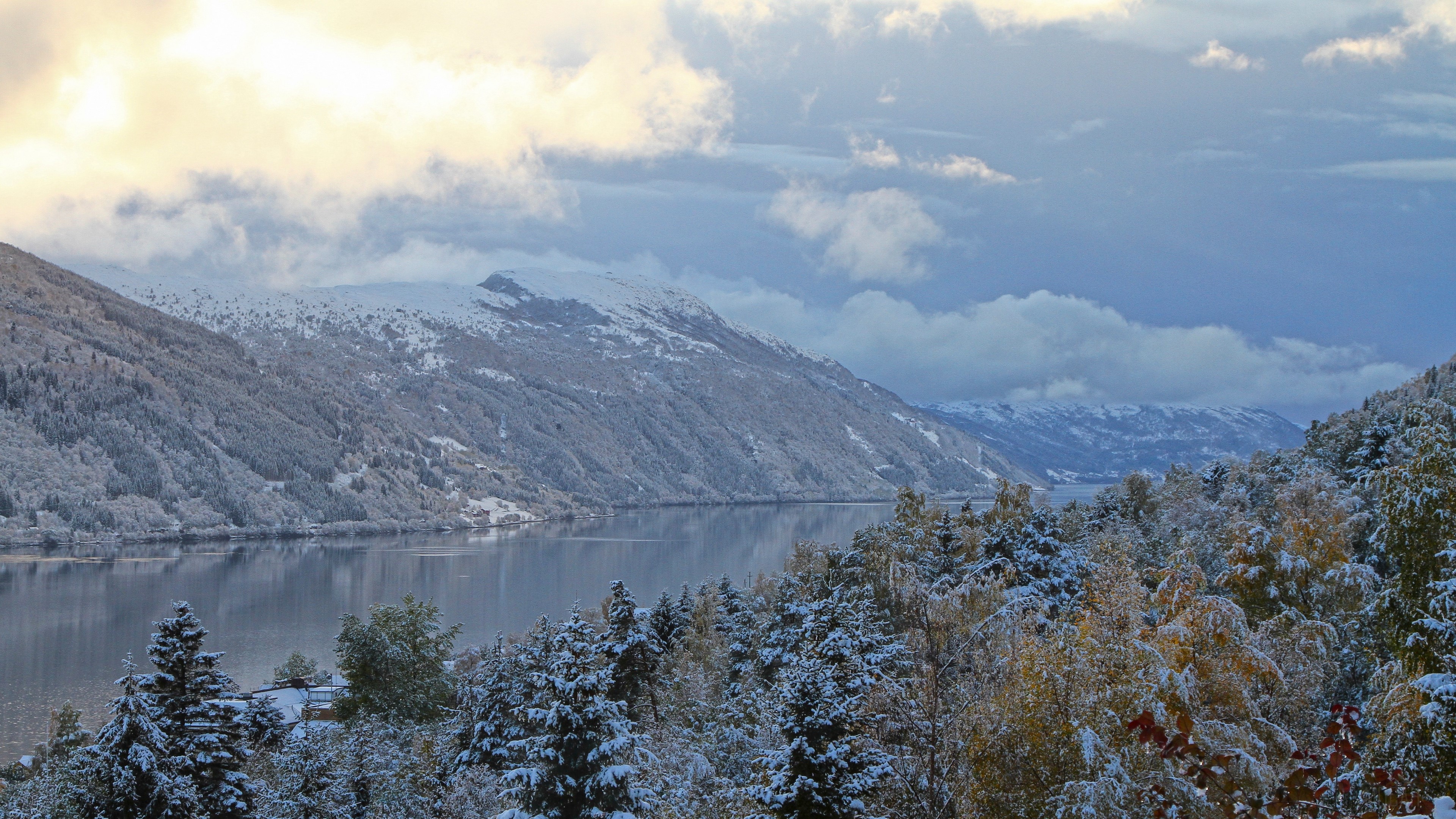 Snow-covered mountains and trees by a lake HD Wallpaper