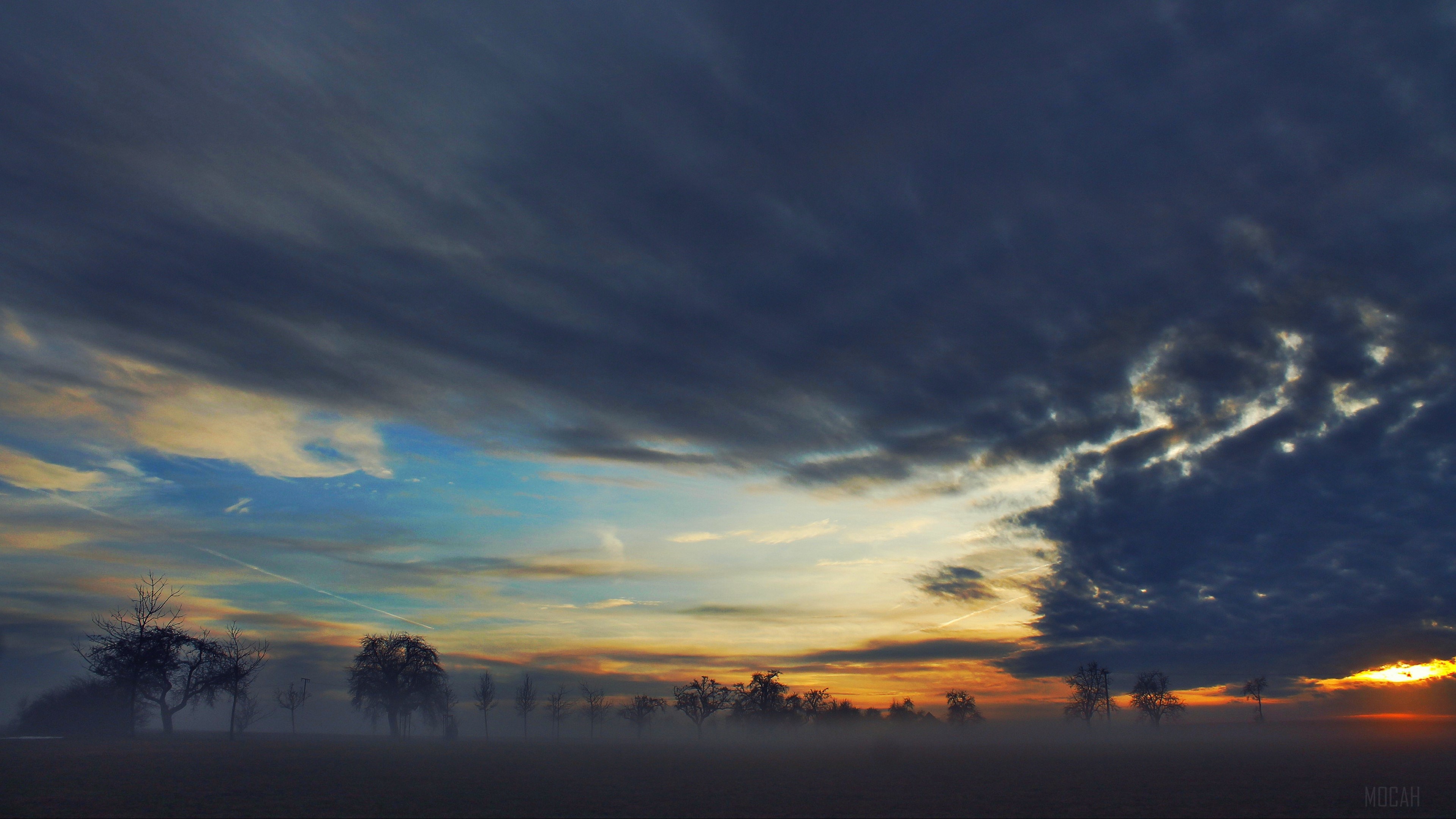 Foggy landscape with trees and dramatic clouds 4K HD Wallpaper