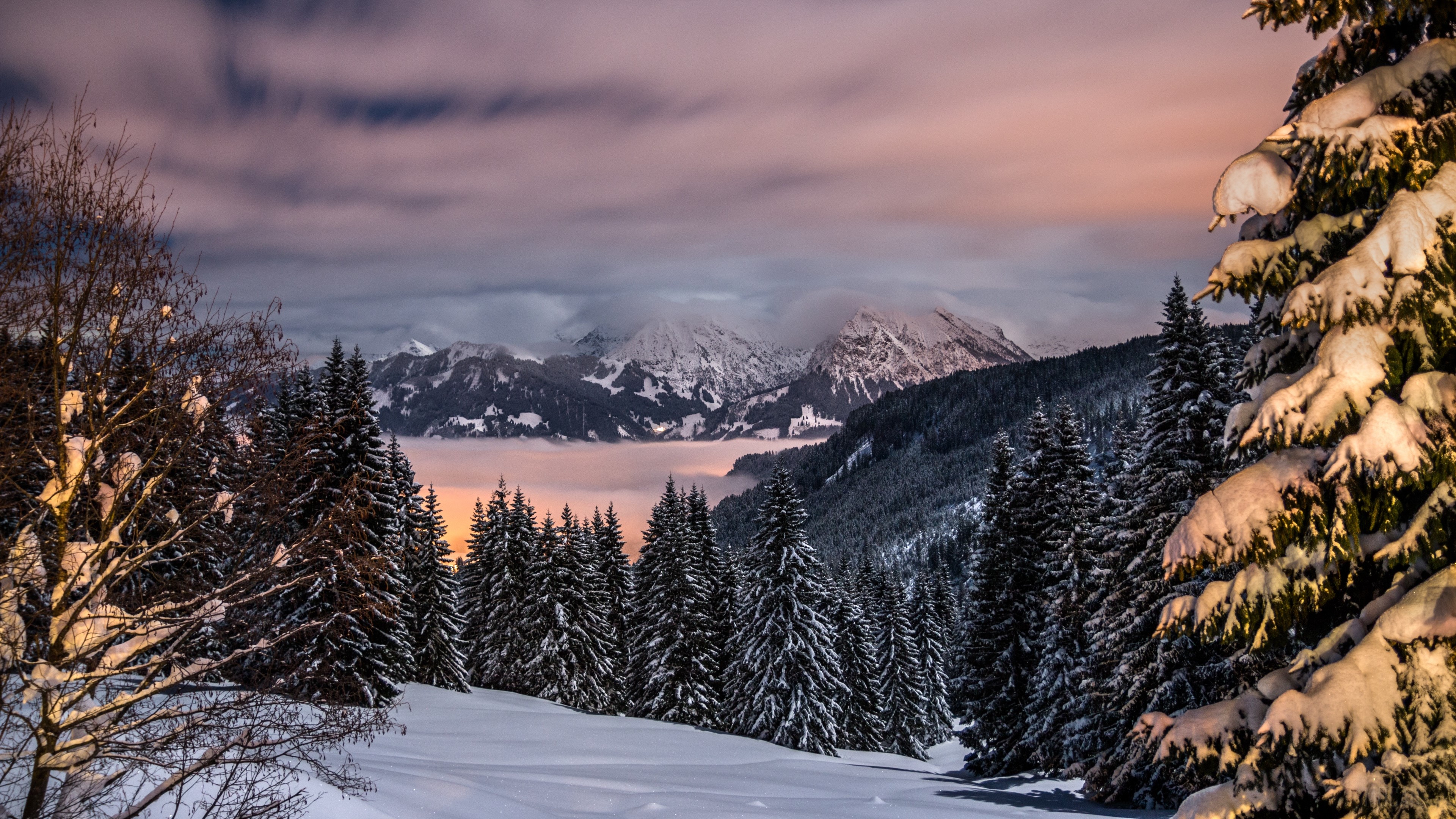 Winter mountains and snow-covered trees in Bavaria, Germany 4K HD Wallpaper