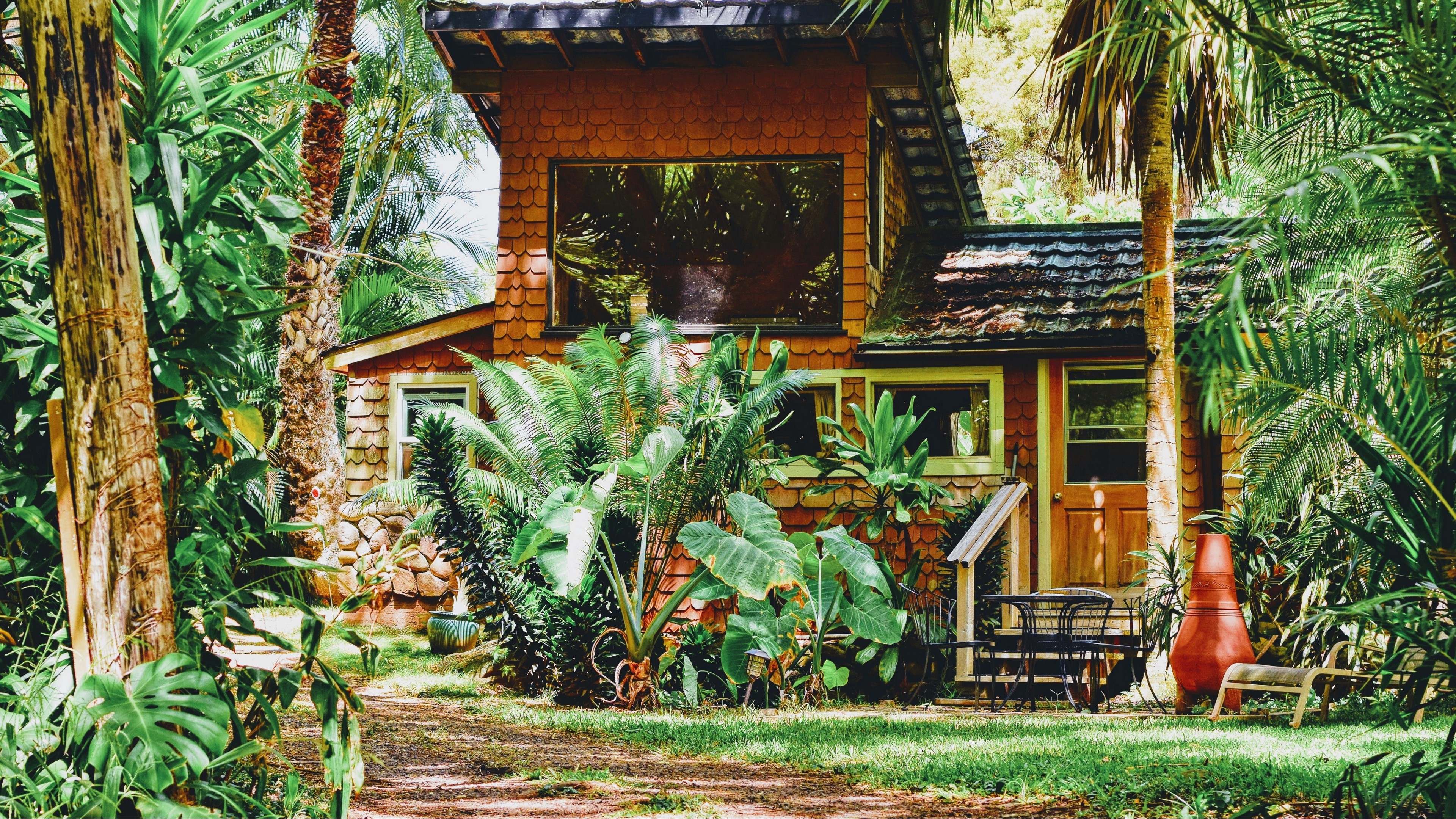 House surrounded by palm trees and plants in sunlight 4K HD Wallpaper