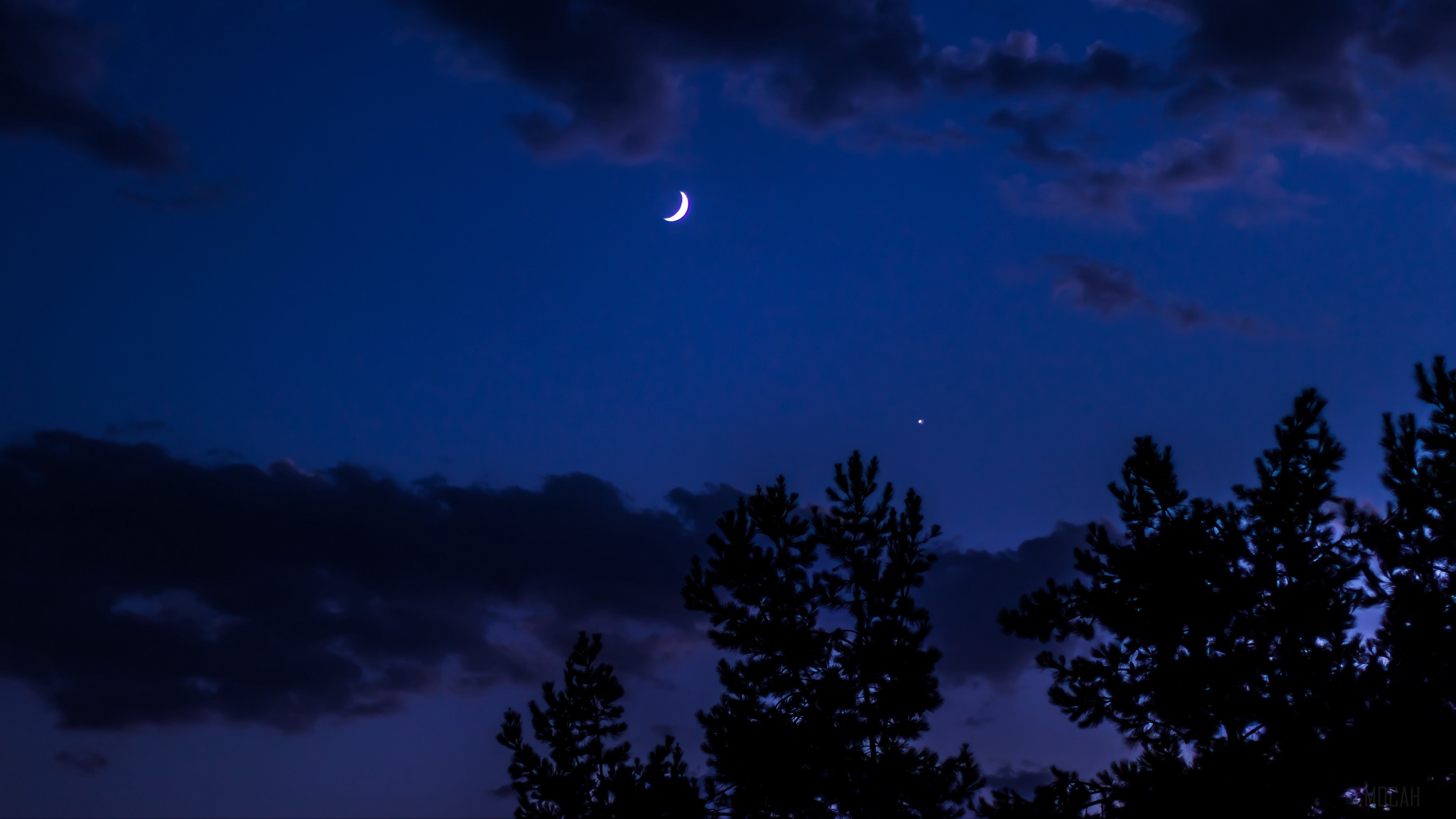 Crescent moon and star in a dark blue sky with clouds and trees HD Wallpaper