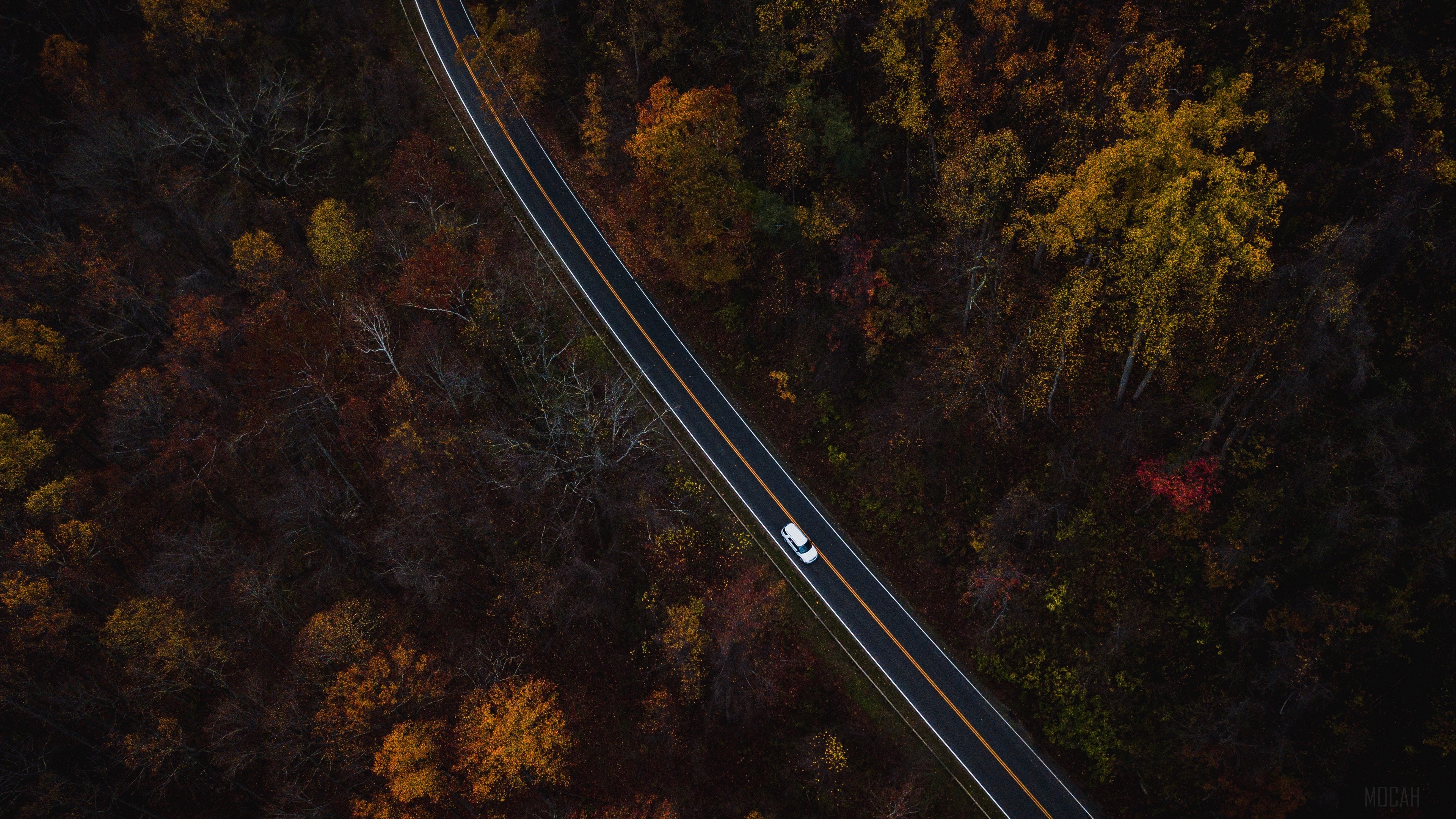 Car on a road through autumn forest from above 4K HD Wallpaper