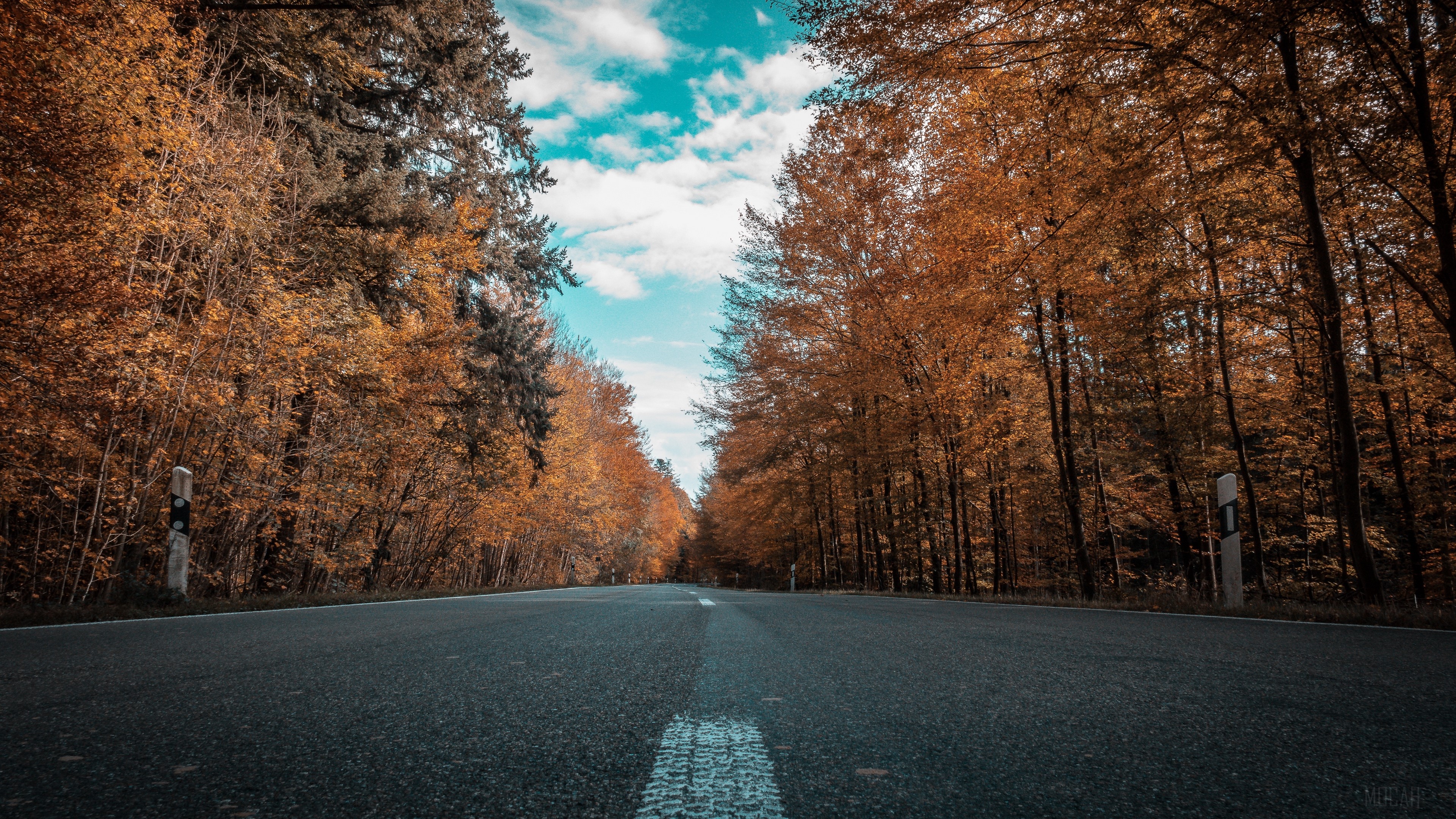 Road through autumn forest 4K HD Wallpaper