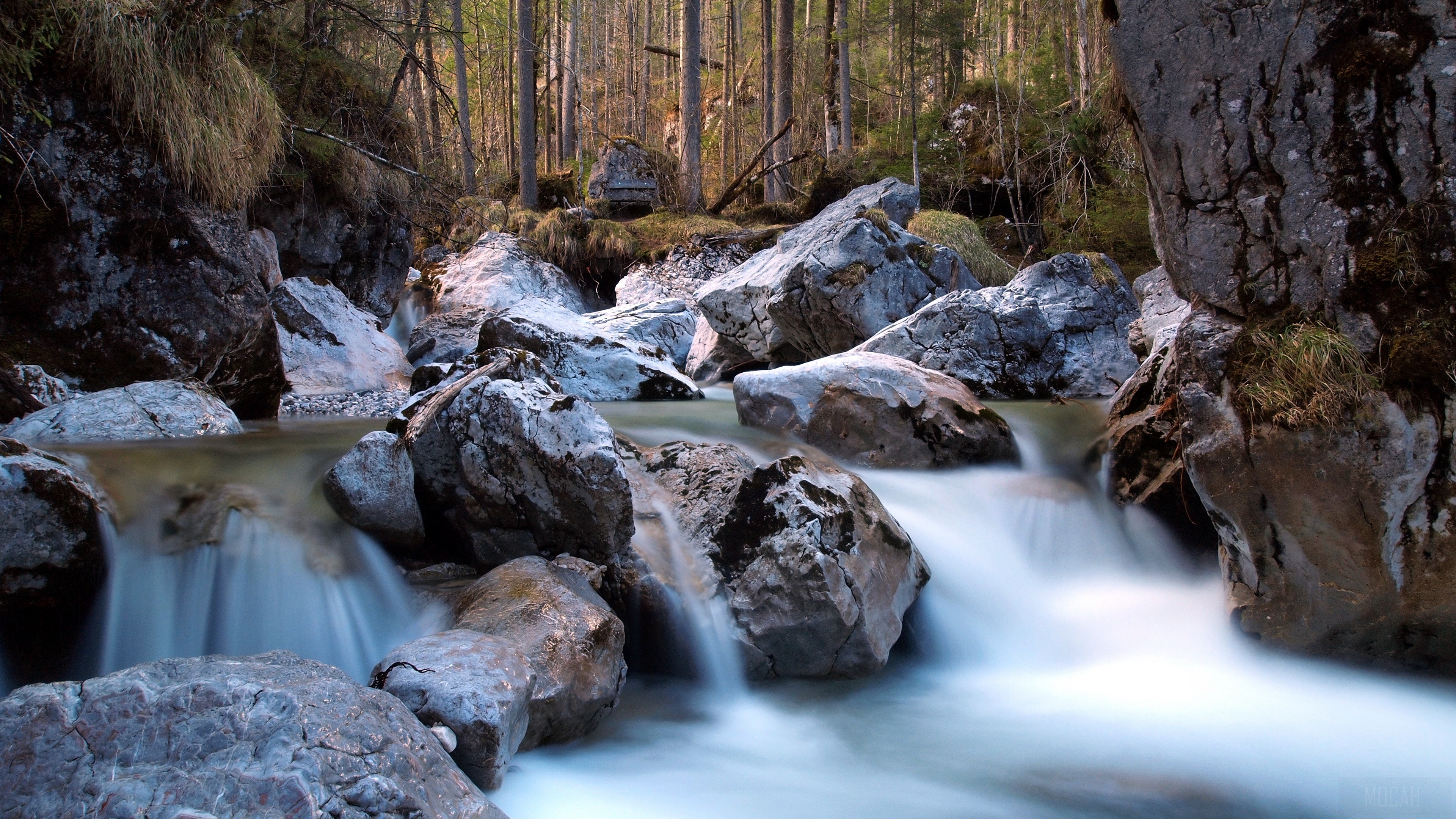 Tranquil River Flowing Through Forest Rocks HD Wallpaper