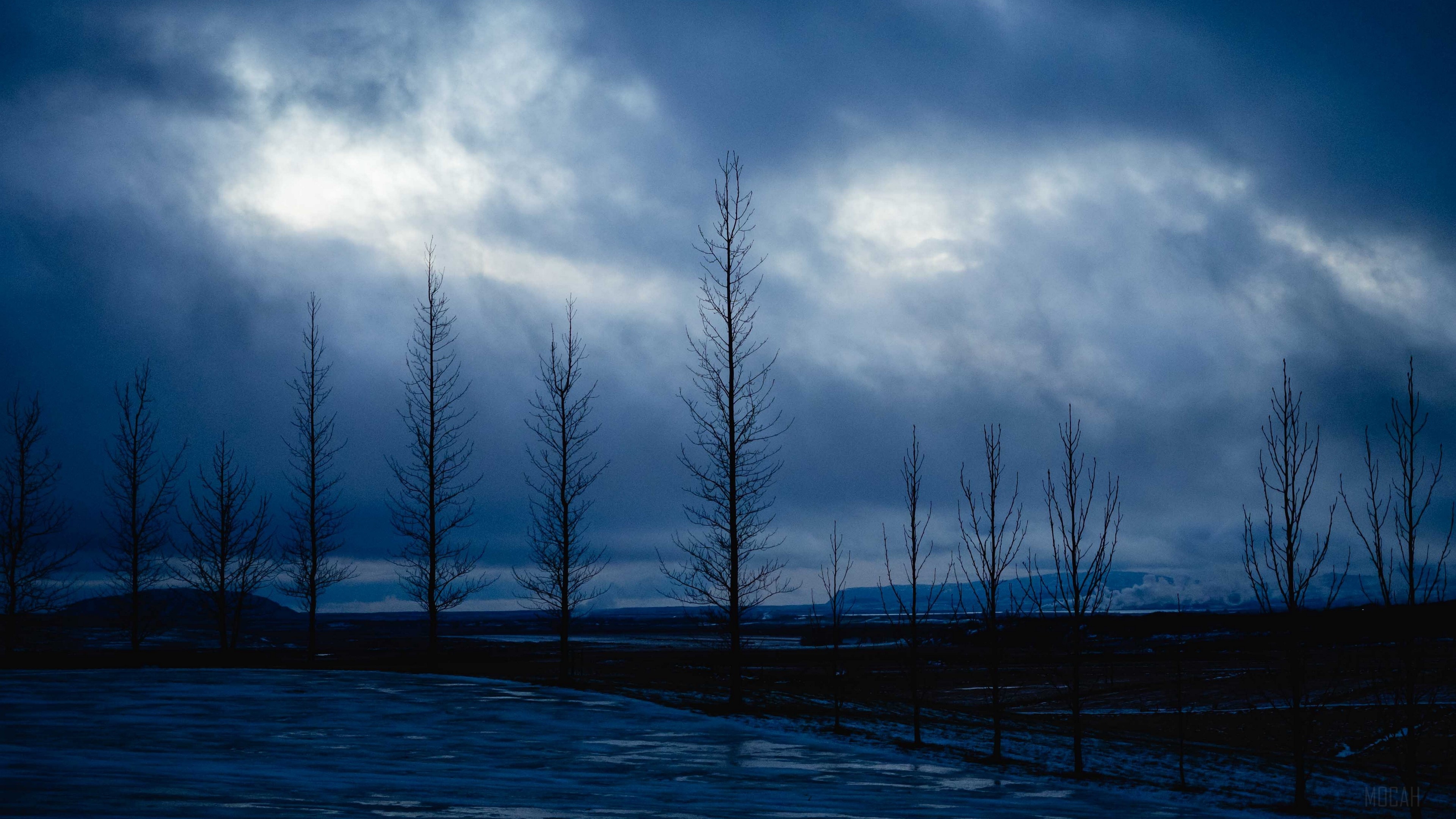 Bare trees against a stormy night sky 4K HD Wallpaper