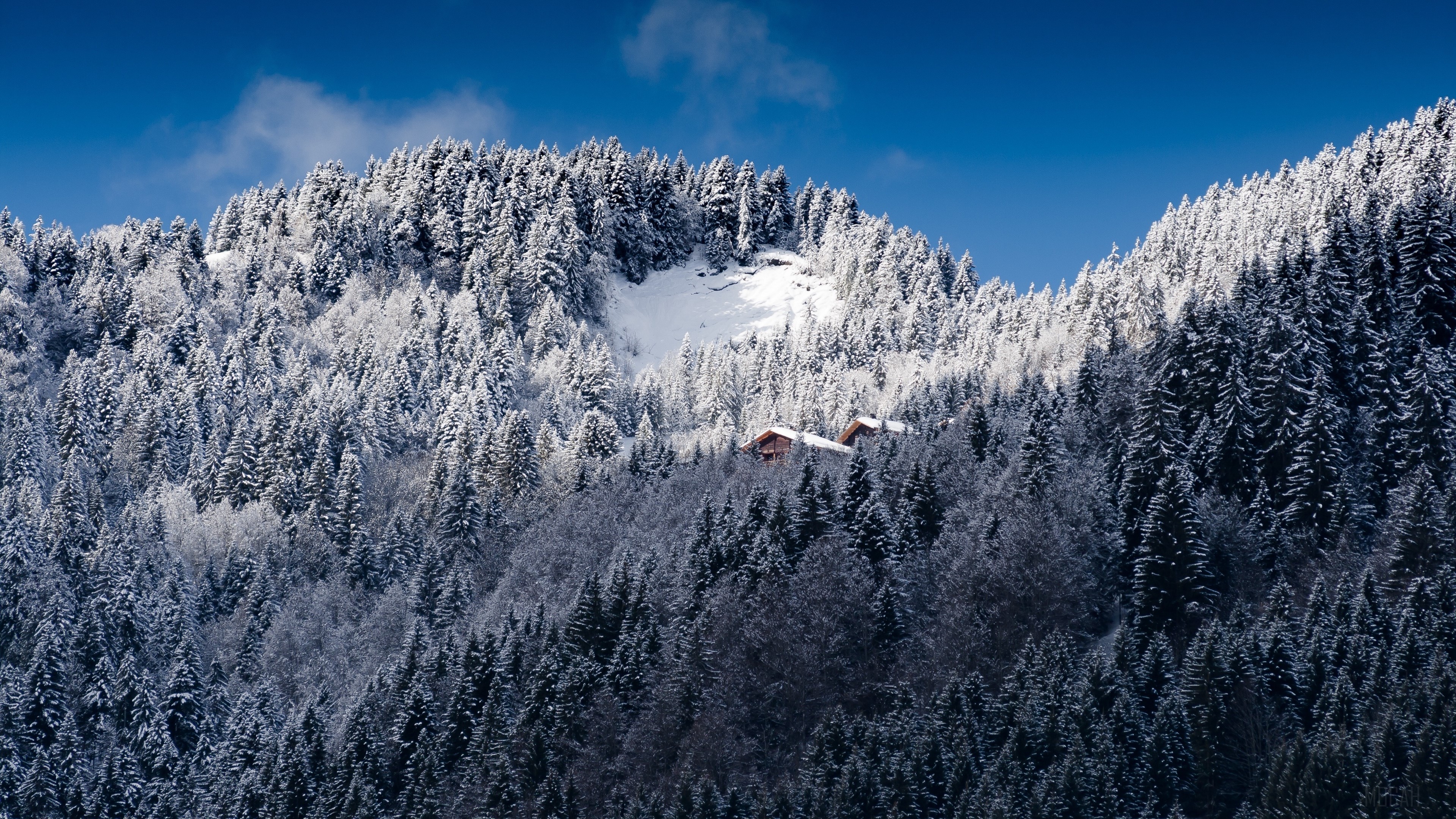 Snow-covered mountains and trees with houses, 4K HD Wallpaper