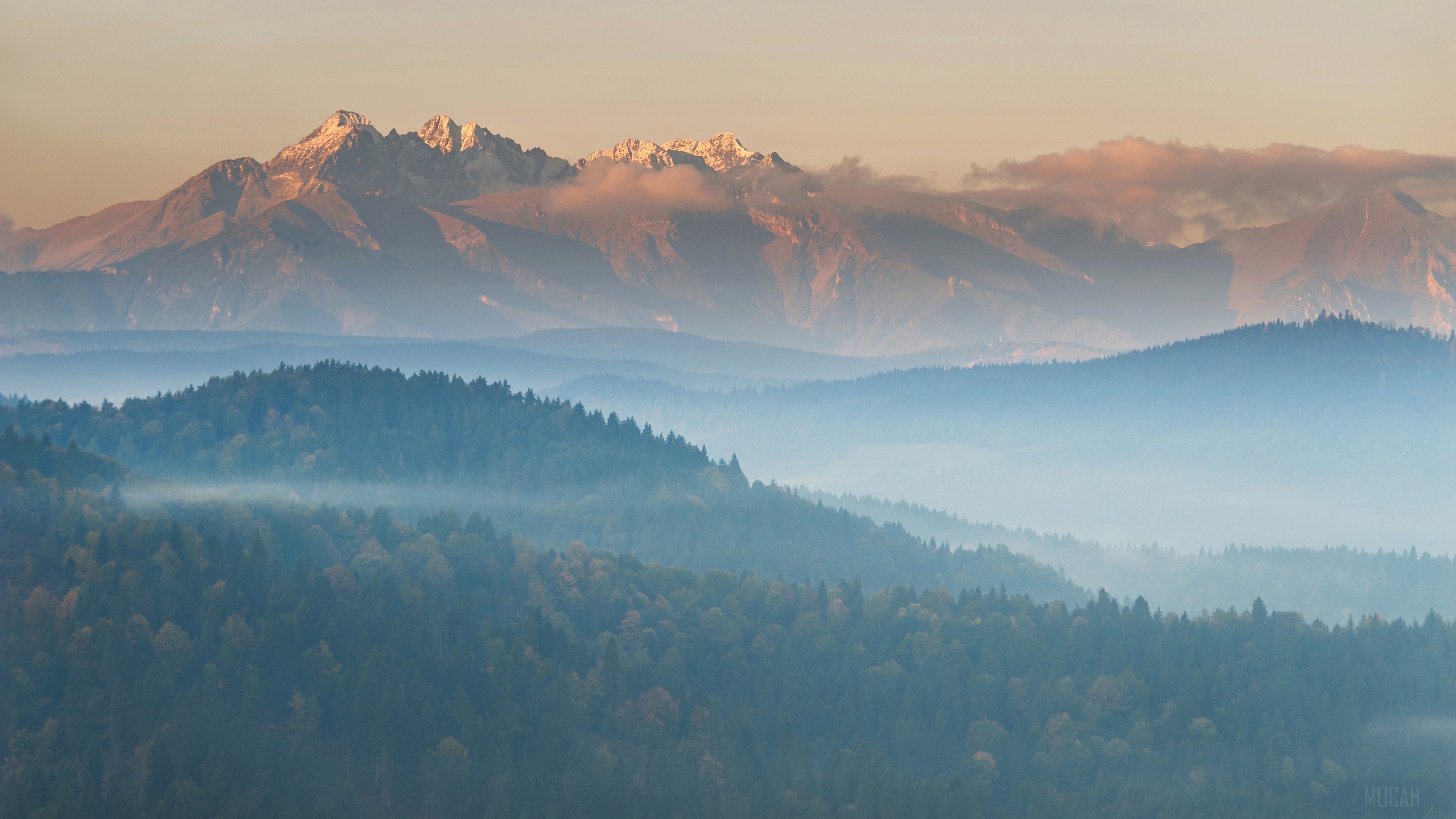 Mountains shrouded in fog with trees below, 4K HD Wallpaper