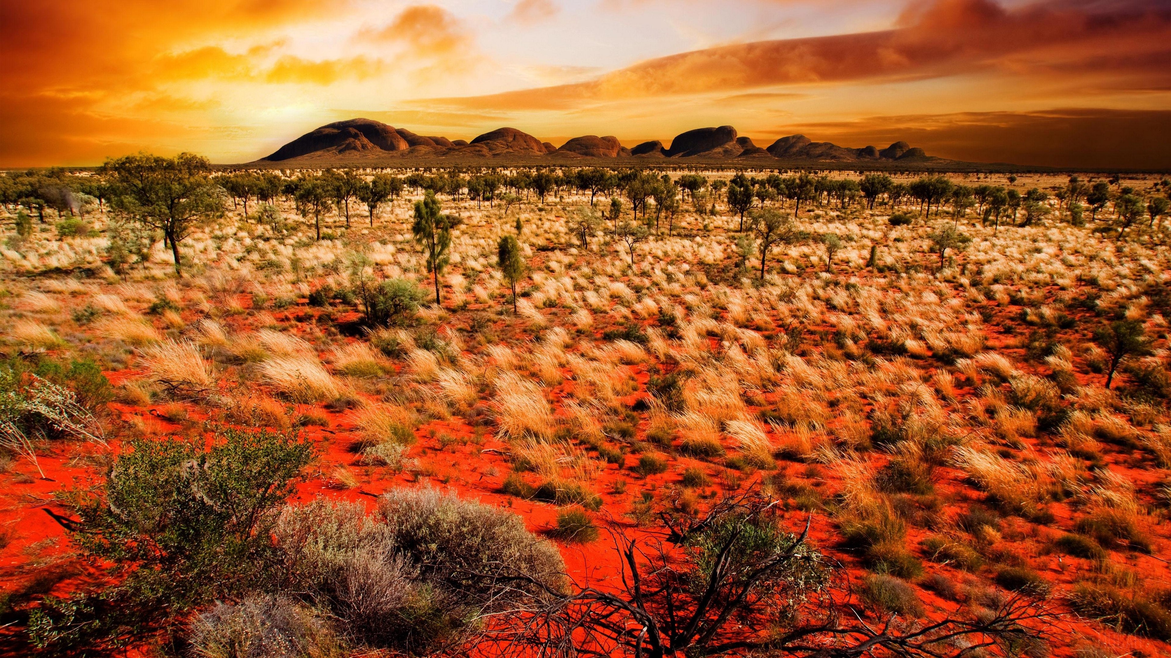 Desert landscape at sunset with mountains HD Wallpaper