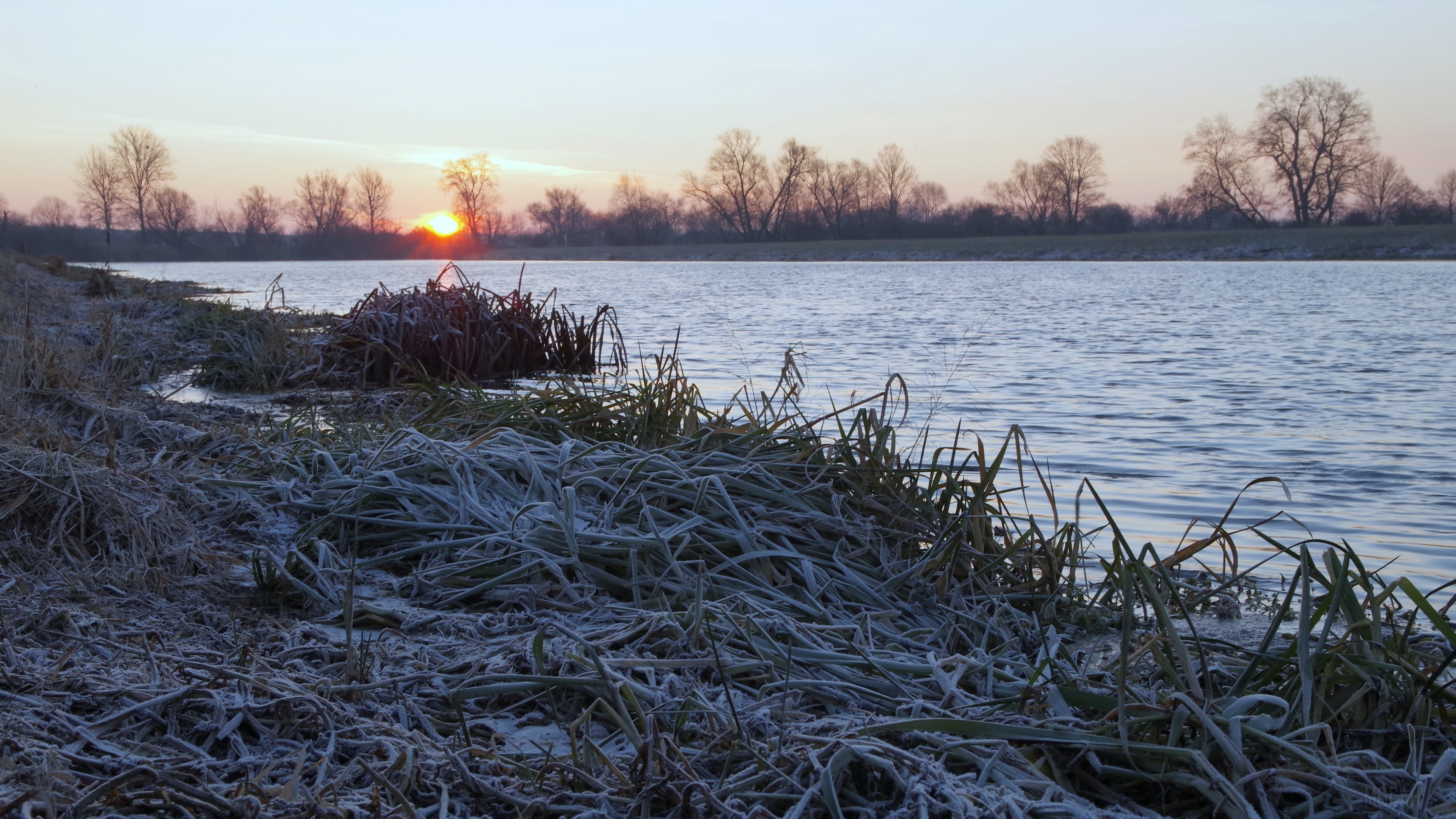 Frosty Grass by Lake at Dawn 4K HD Wallpaper