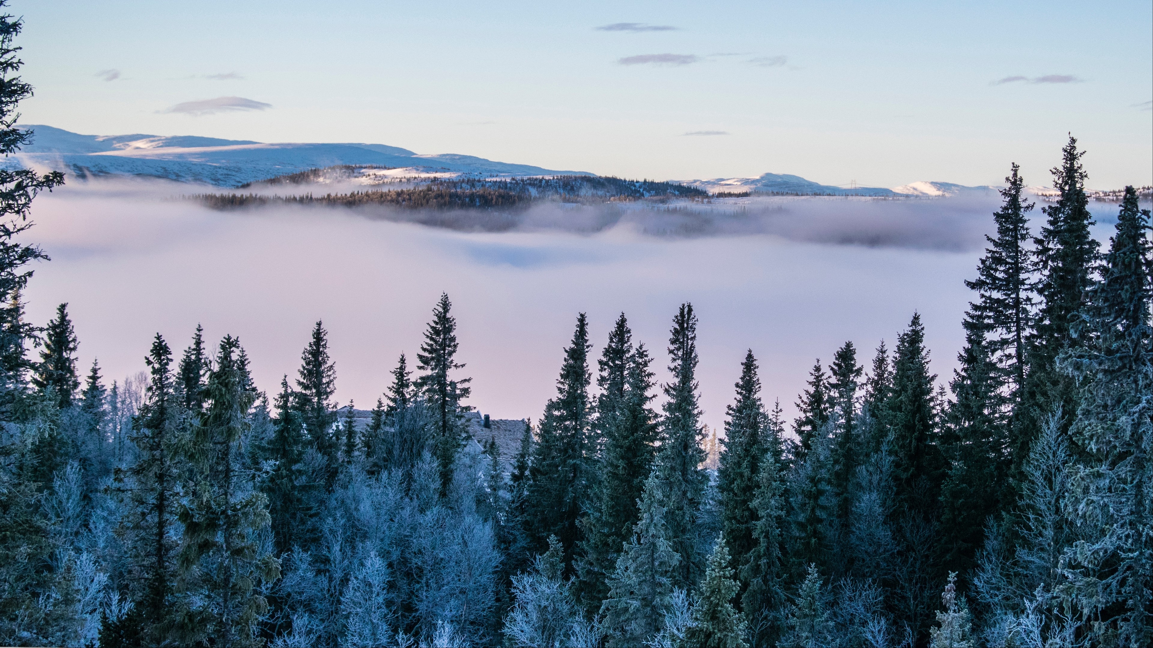 Winter forest with fog and mountains 4K HD Wallpaper