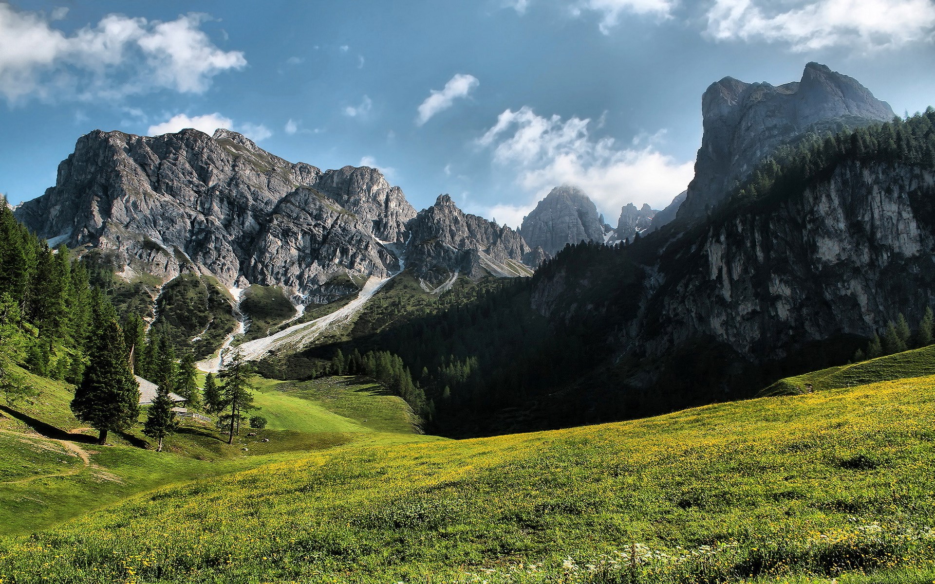 Green meadow with yellow flowers and rocky mountains HD Wallpaper