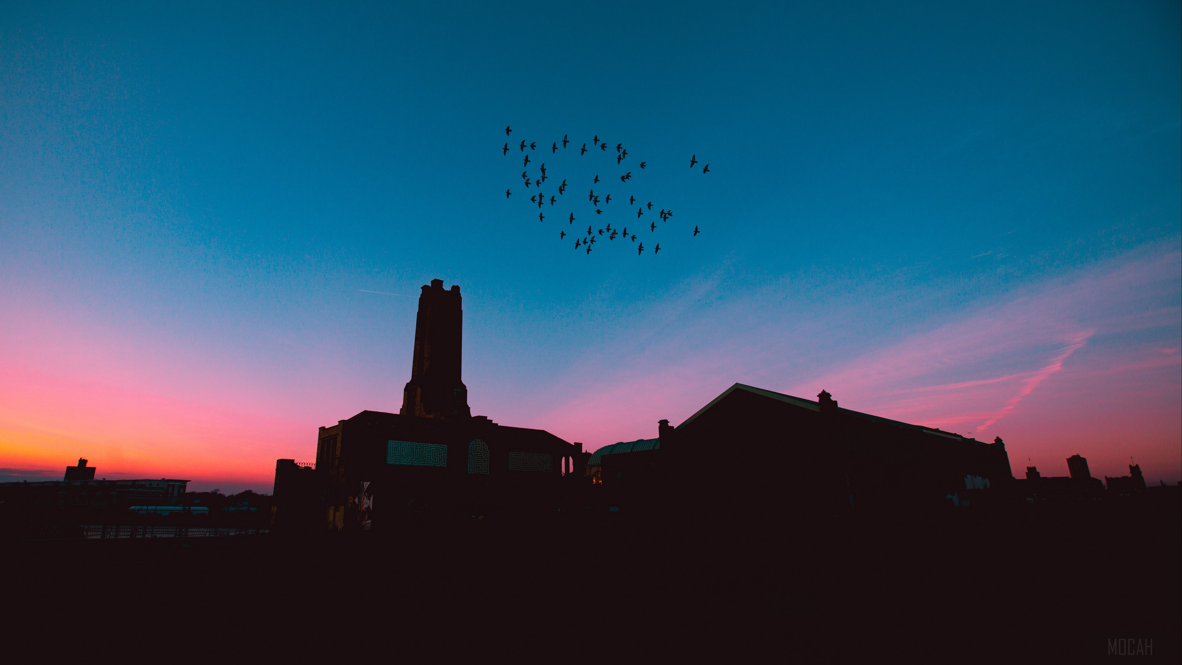 Flock of birds flying over silhouetted buildings at sunset 4K HD Wallpaper