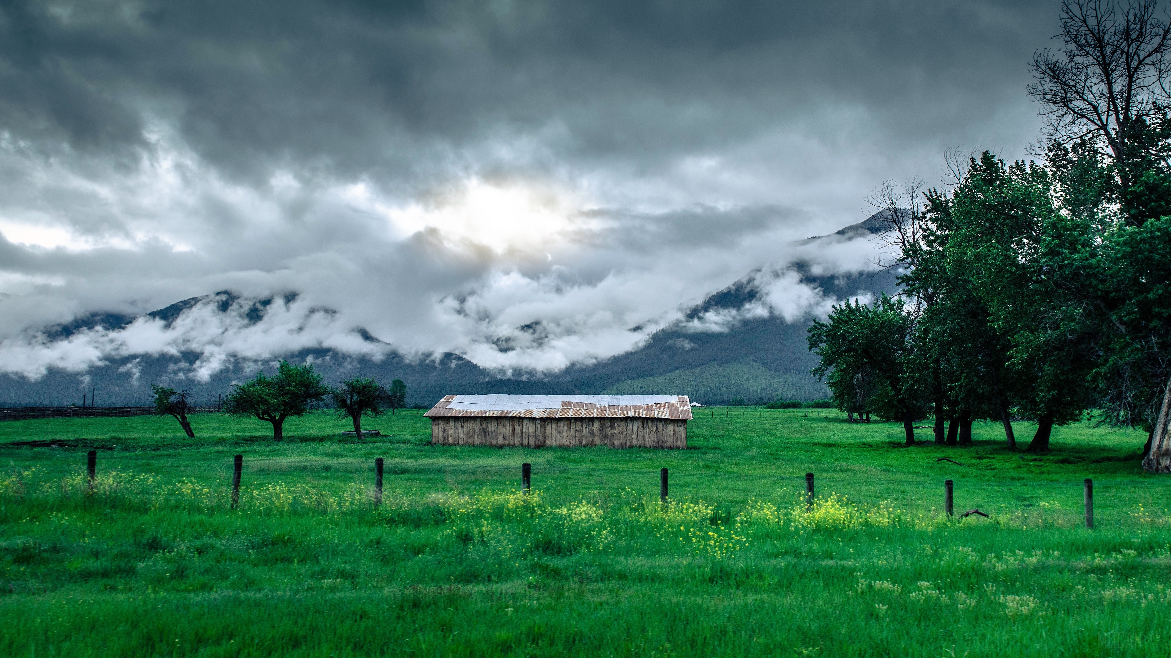 Barn in a grassy field with mountains and fog 4K HD Wallpaper