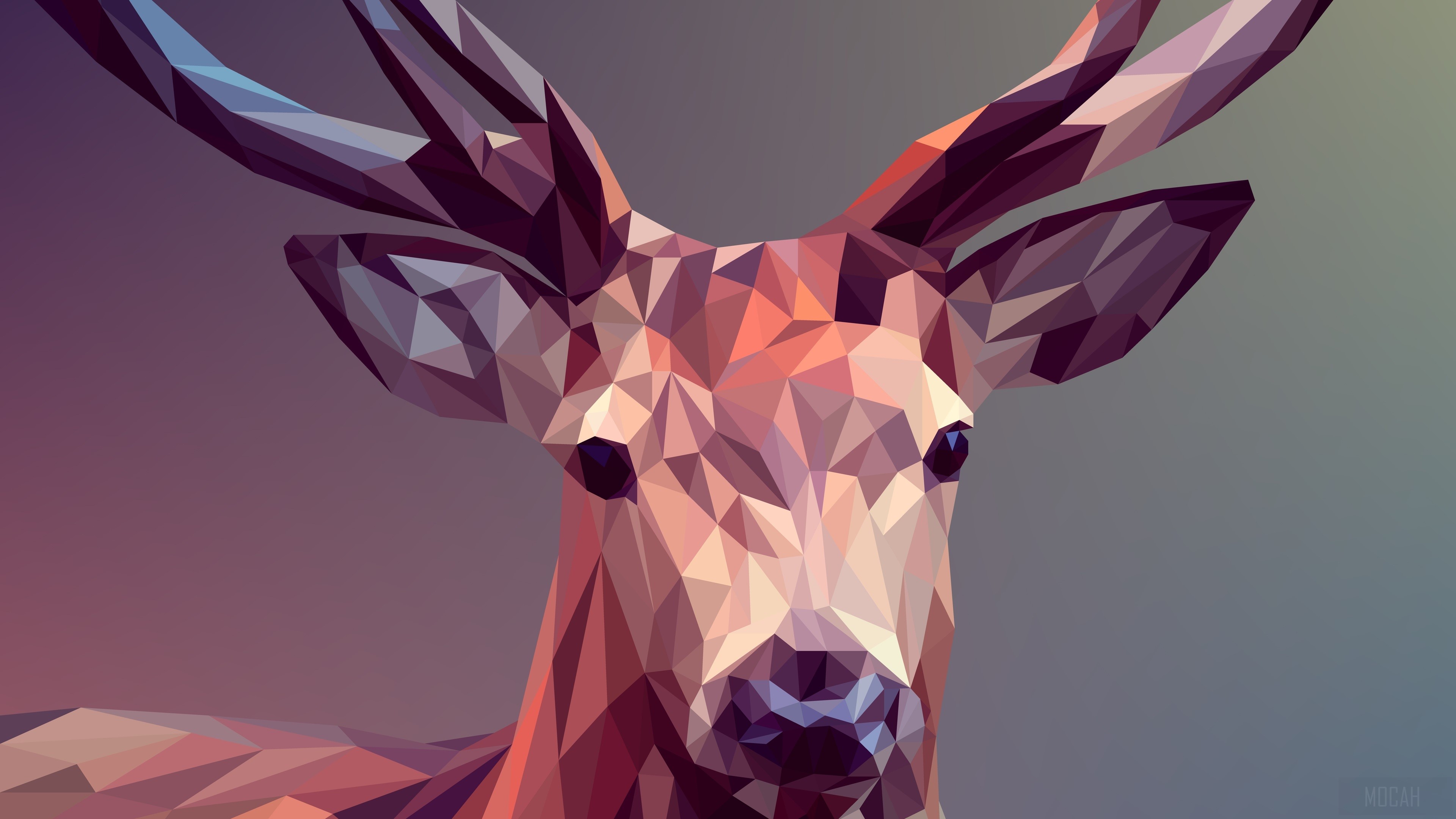 Deer Polygon Art HD Wallpaper