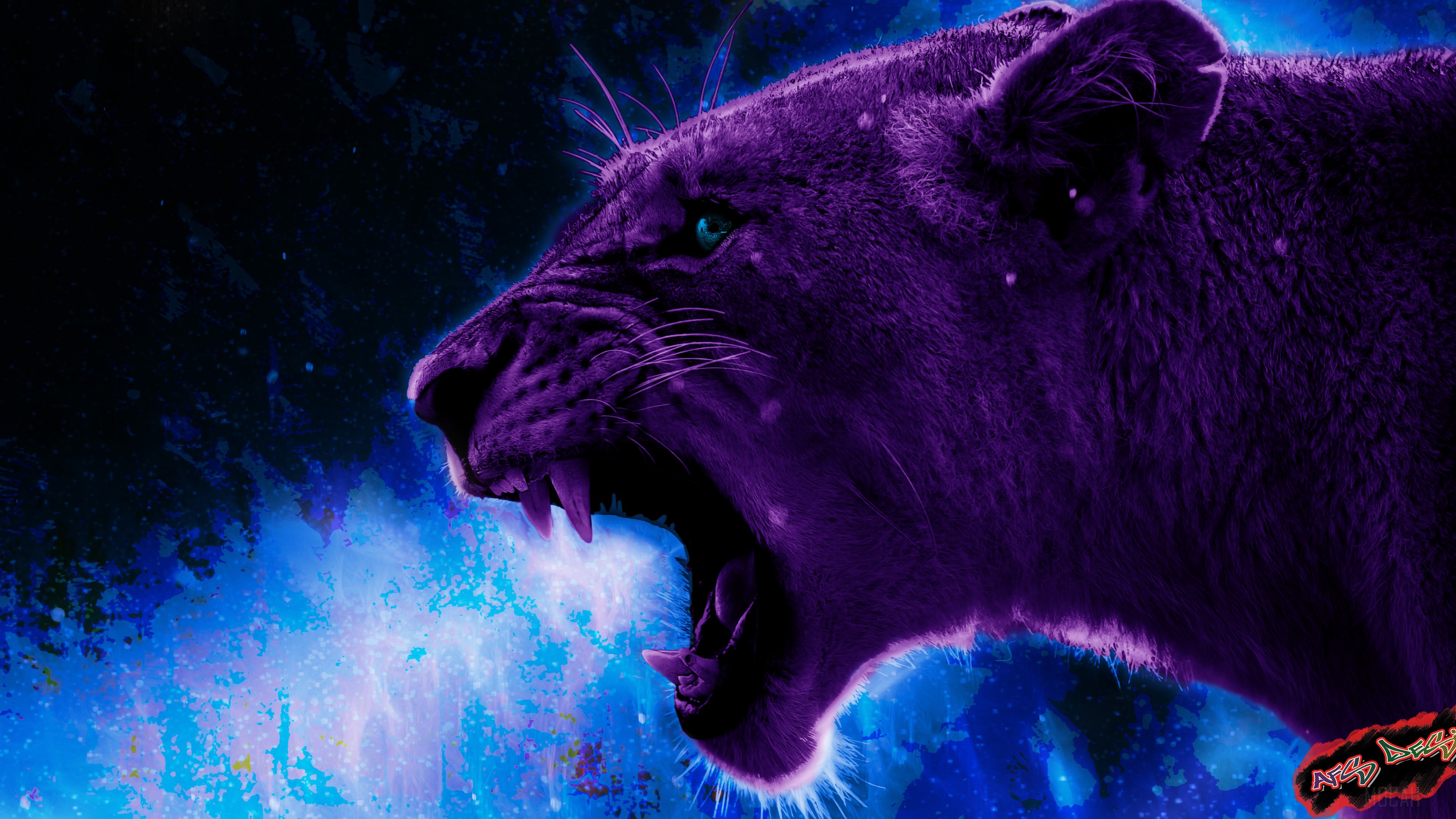 Purple Lion Roaring 4K HD Wallpaper