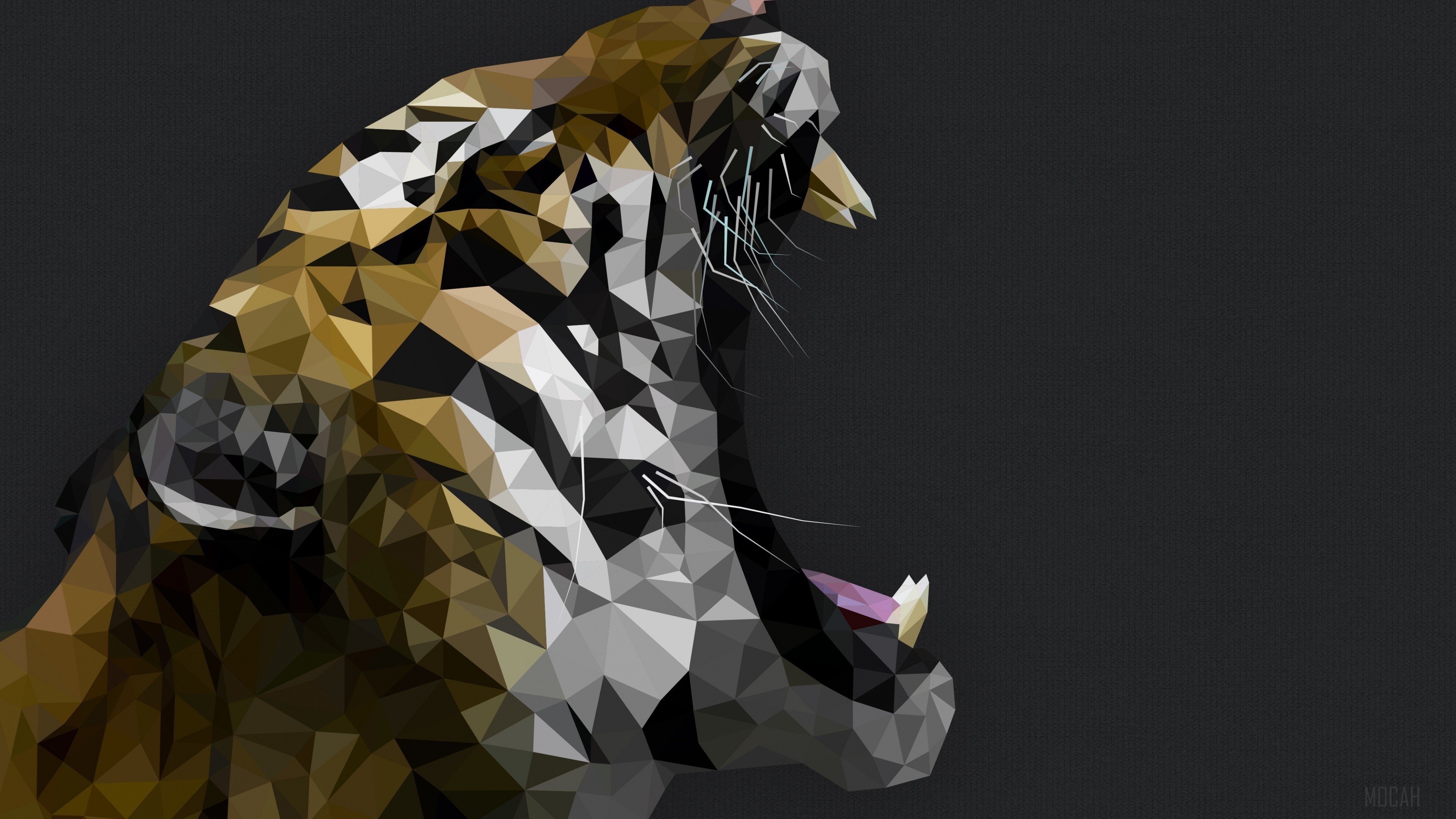 Tiger Digital Art HD Wallpaper