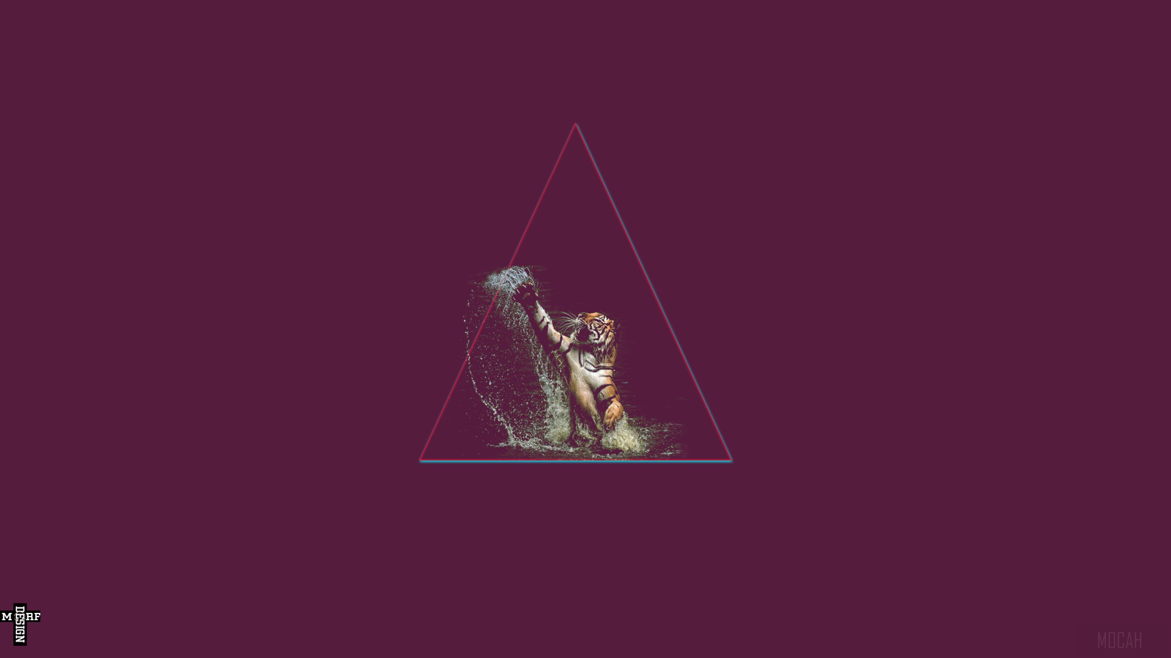 Tiger splashing water inside a triangle 4K HD Wallpaper