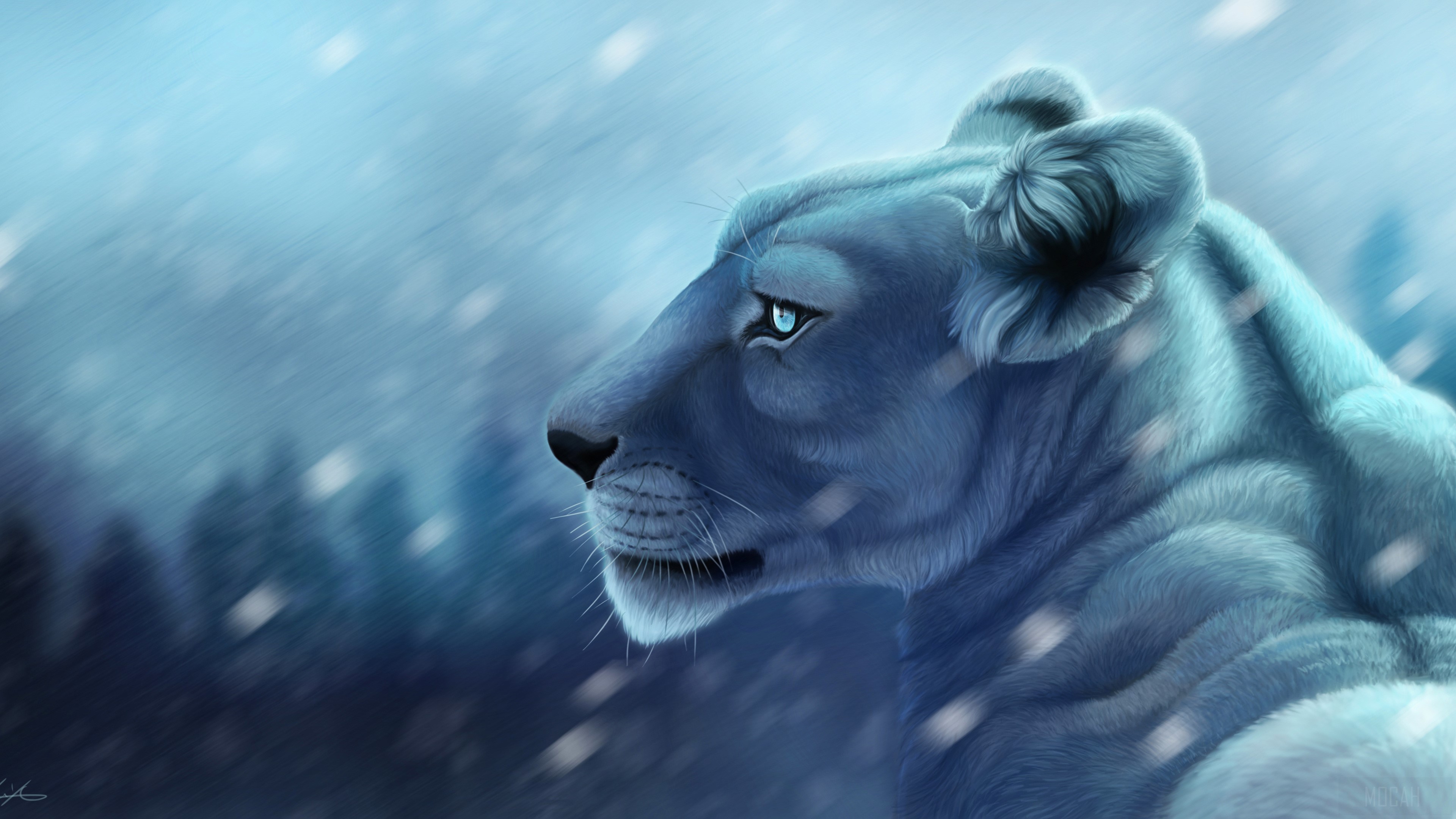 Lion in Snow 4K Artwork HD Wallpaper
