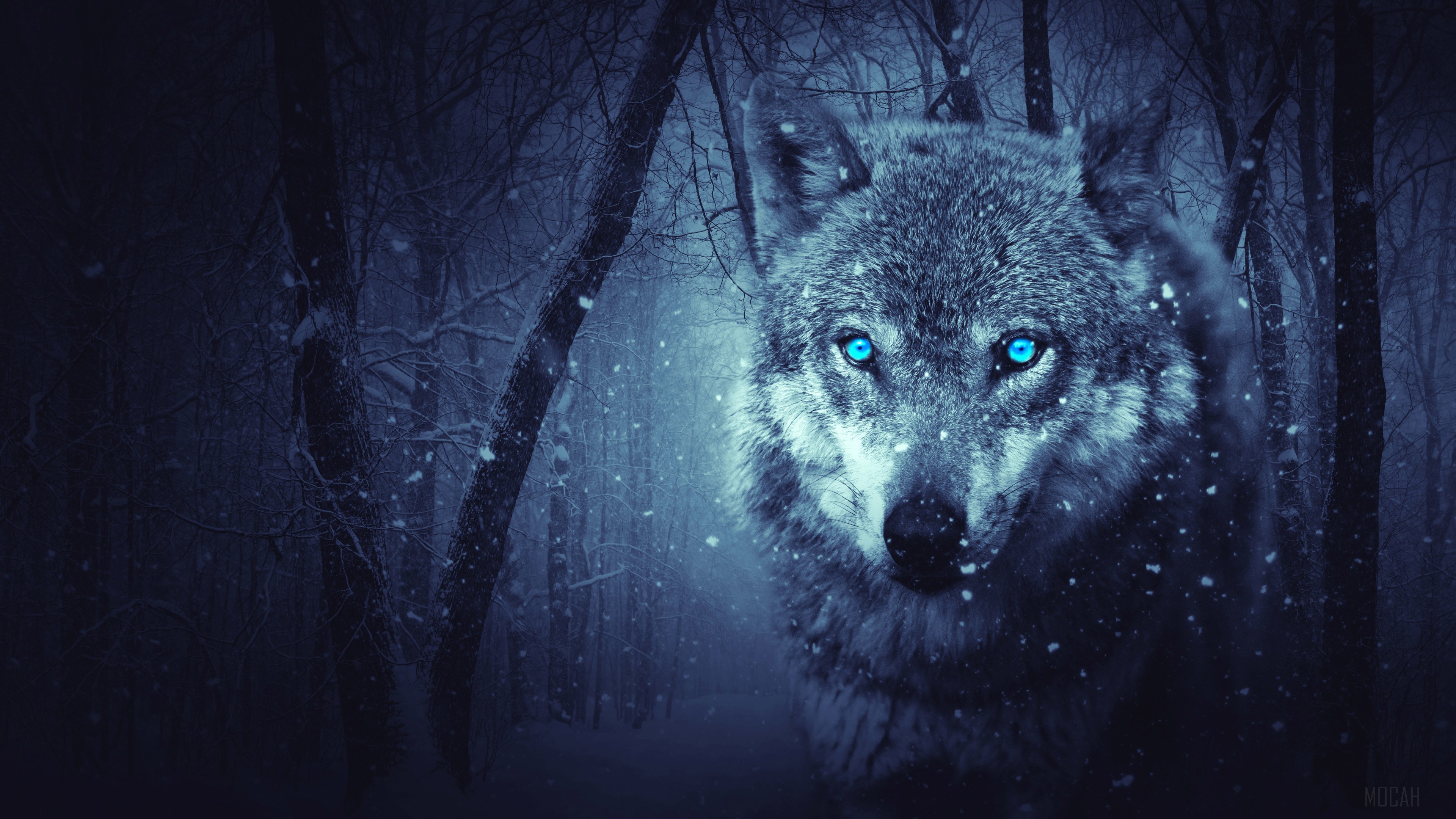 Fantasy Wolf in Snowy Forest 4K HD Wallpaper