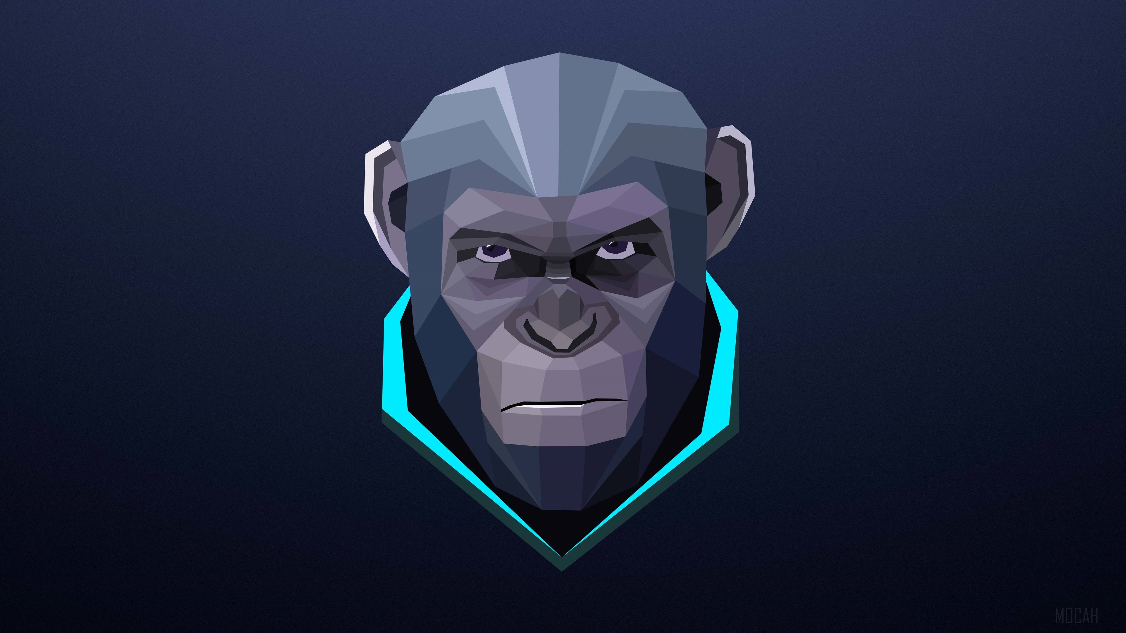 Minimalist Monkey Portrait 4K HD Wallpaper