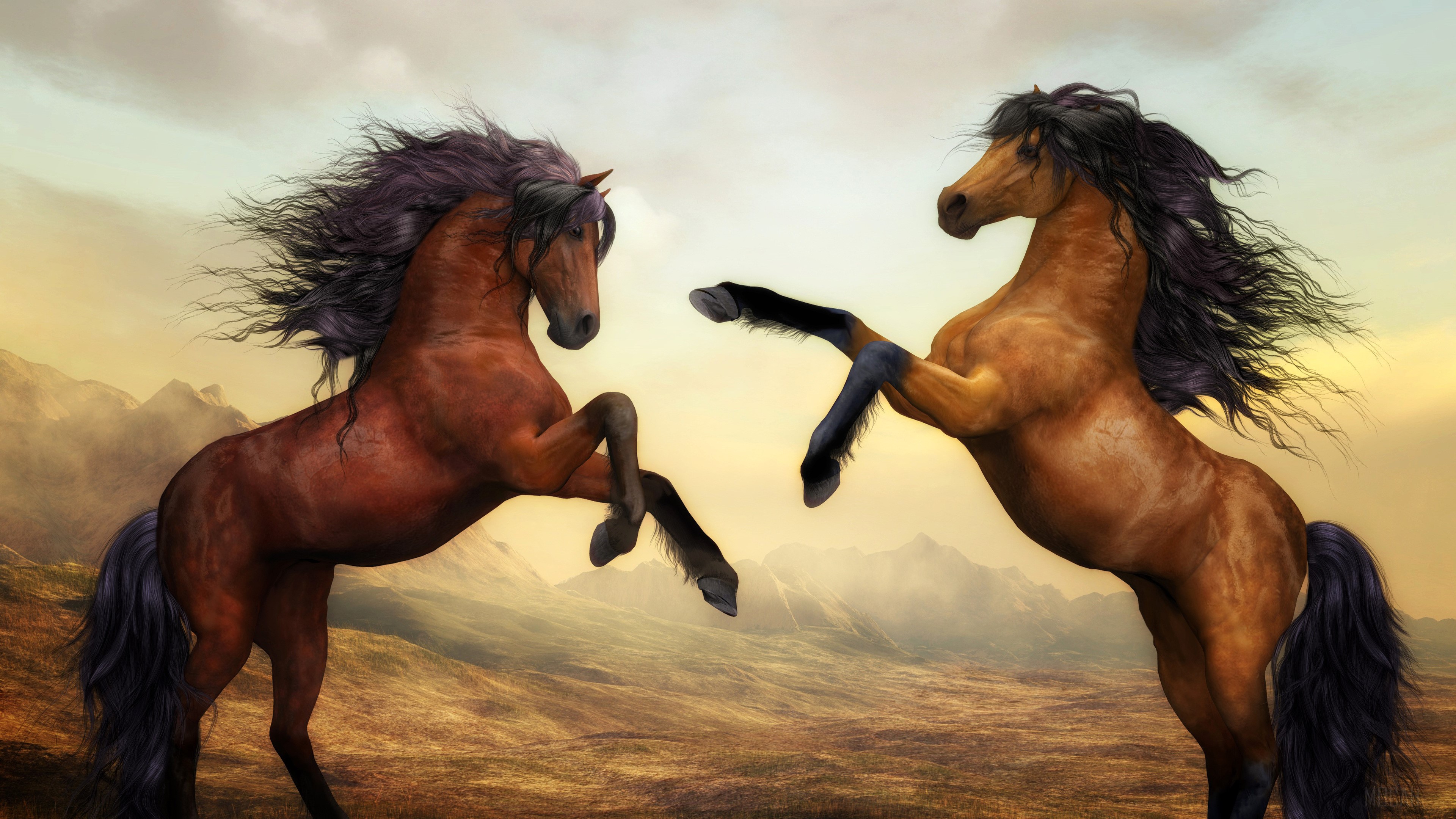 Two Horses Dance HD Wallpaper
